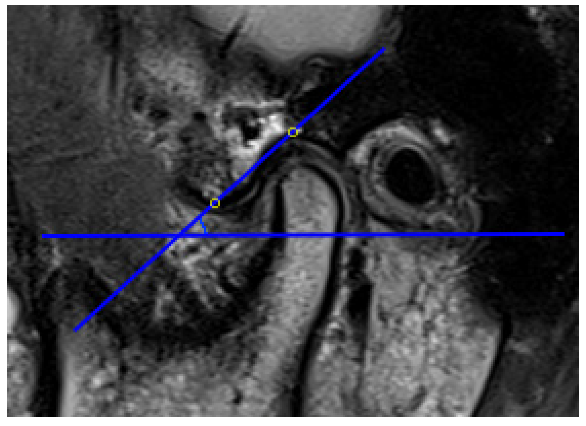 Diagnostics 11 00029 g002 Diagnostics 11 00029 g002