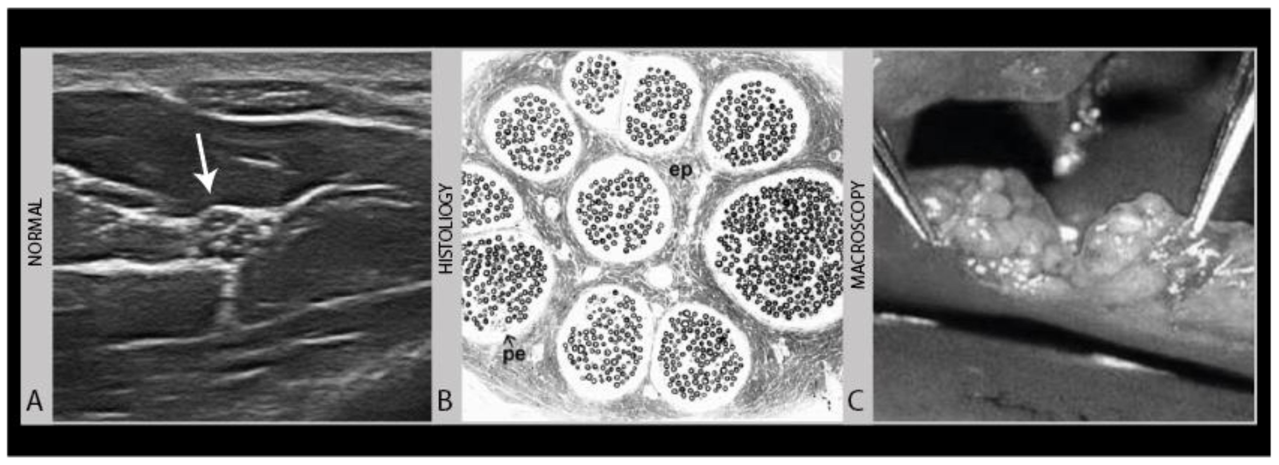 Diagnostics 11 00030 g001