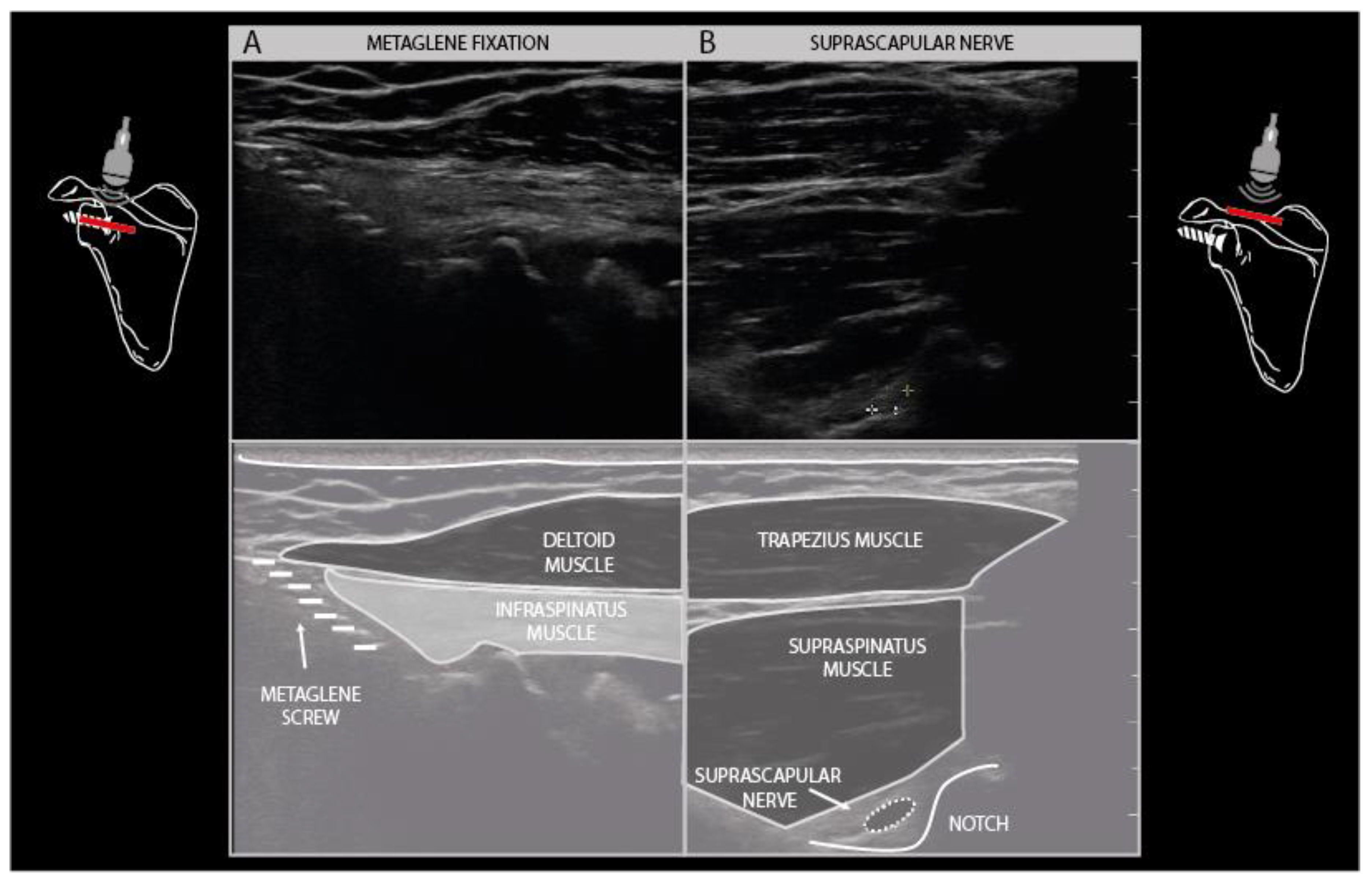 Diagnostics 11 00030 g013