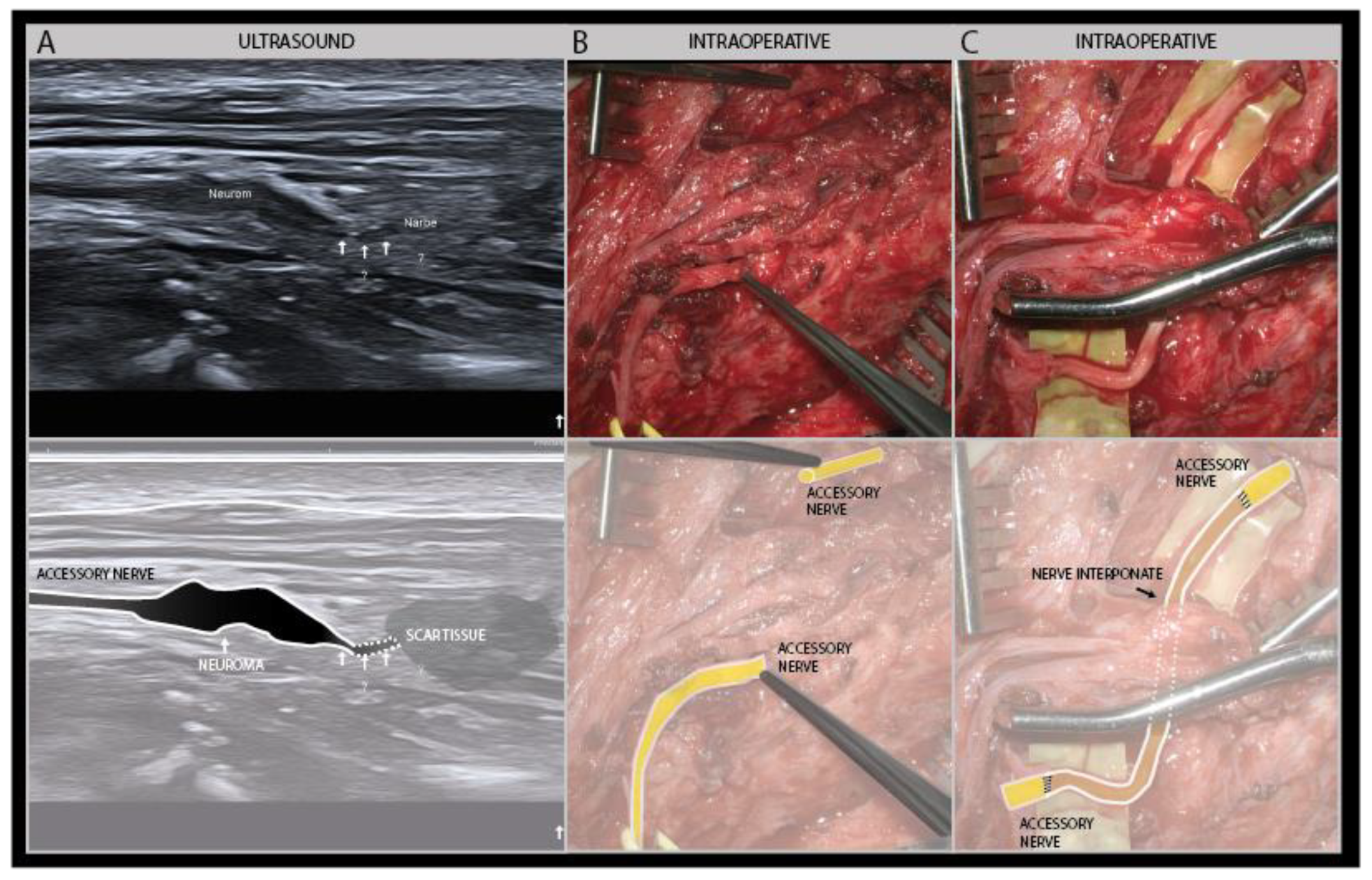 Diagnostics 11 00030 g015