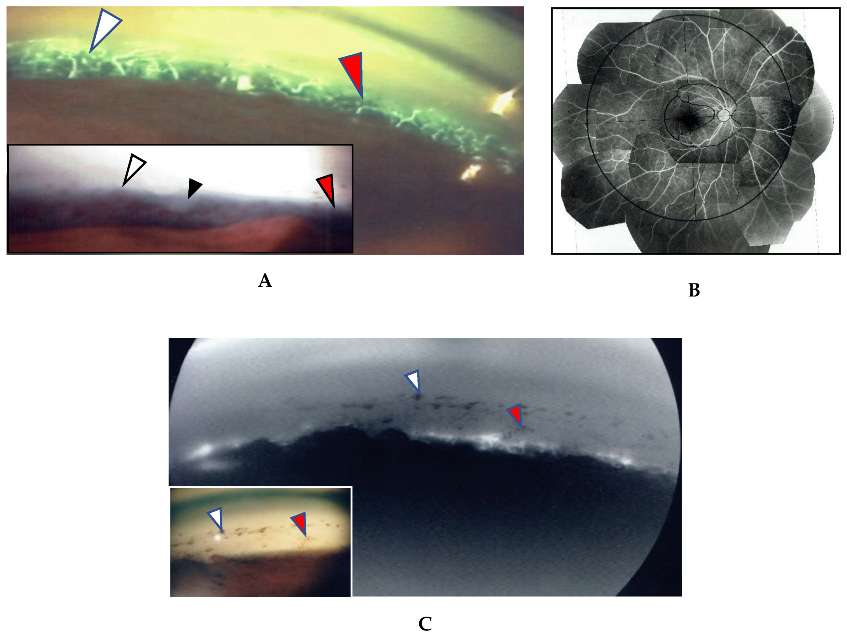 Diagnostics 11 00039 g001