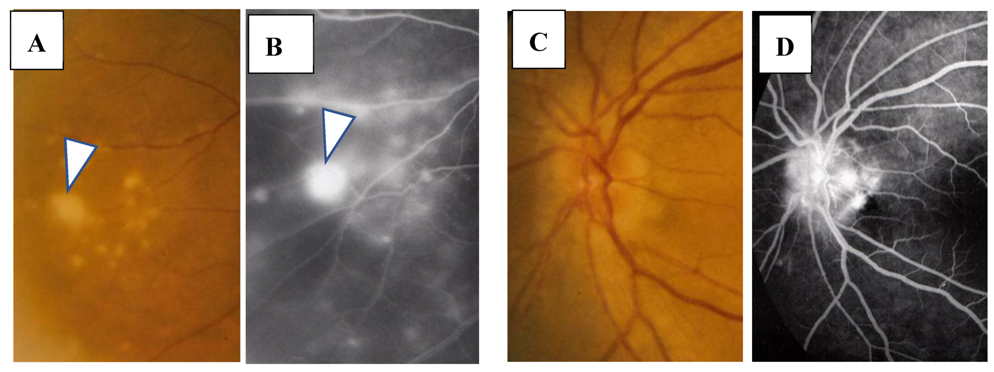 Diagnostics 11 00039 g005