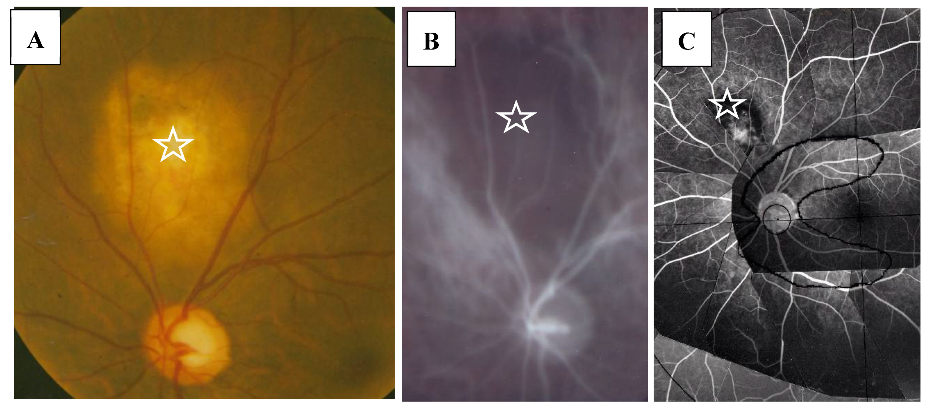 Diagnostics 11 00039 g006