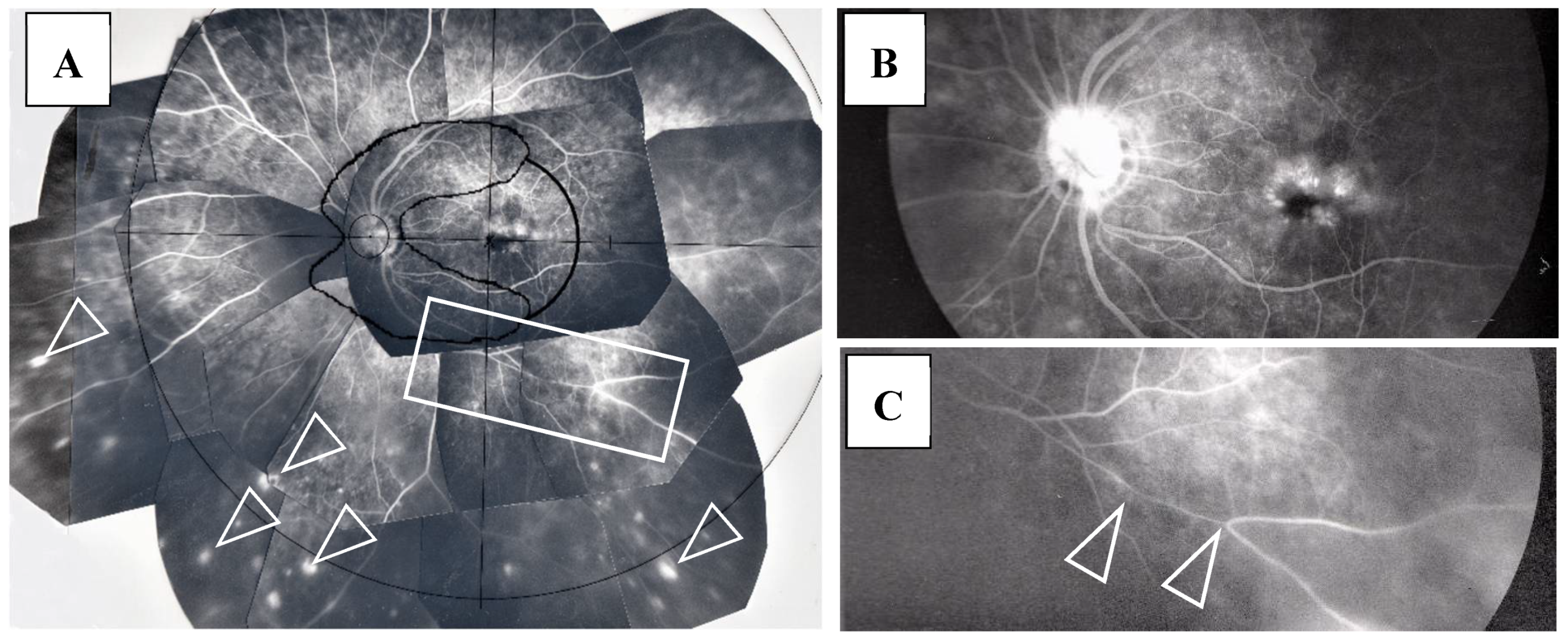 Diagnostics 11 00039 g007