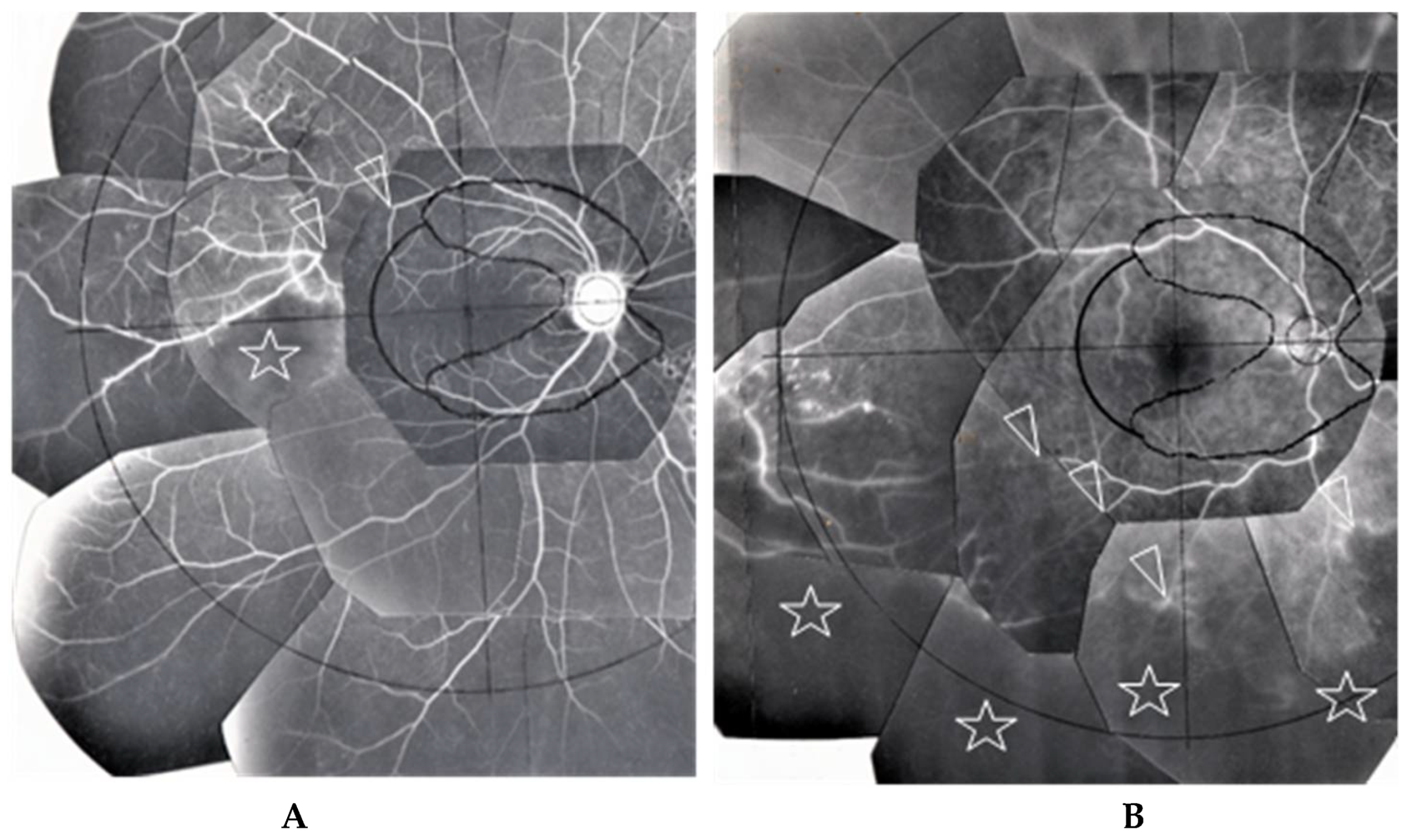 Diagnostics 11 00039 g008