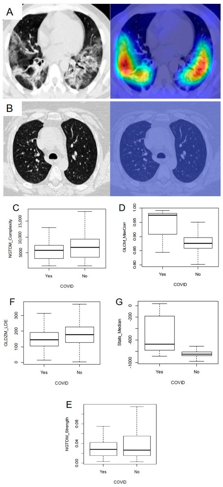Diagnostics 11 00041 g006