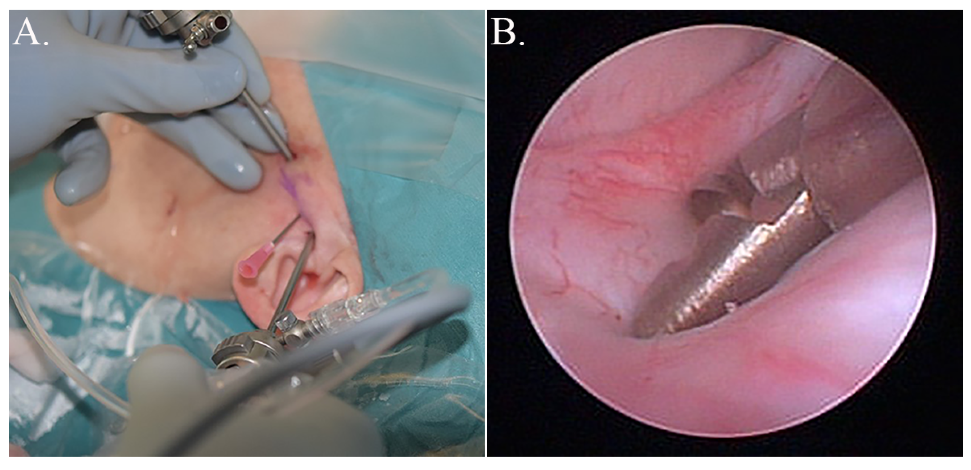 Diagnostics 11 00046 g001