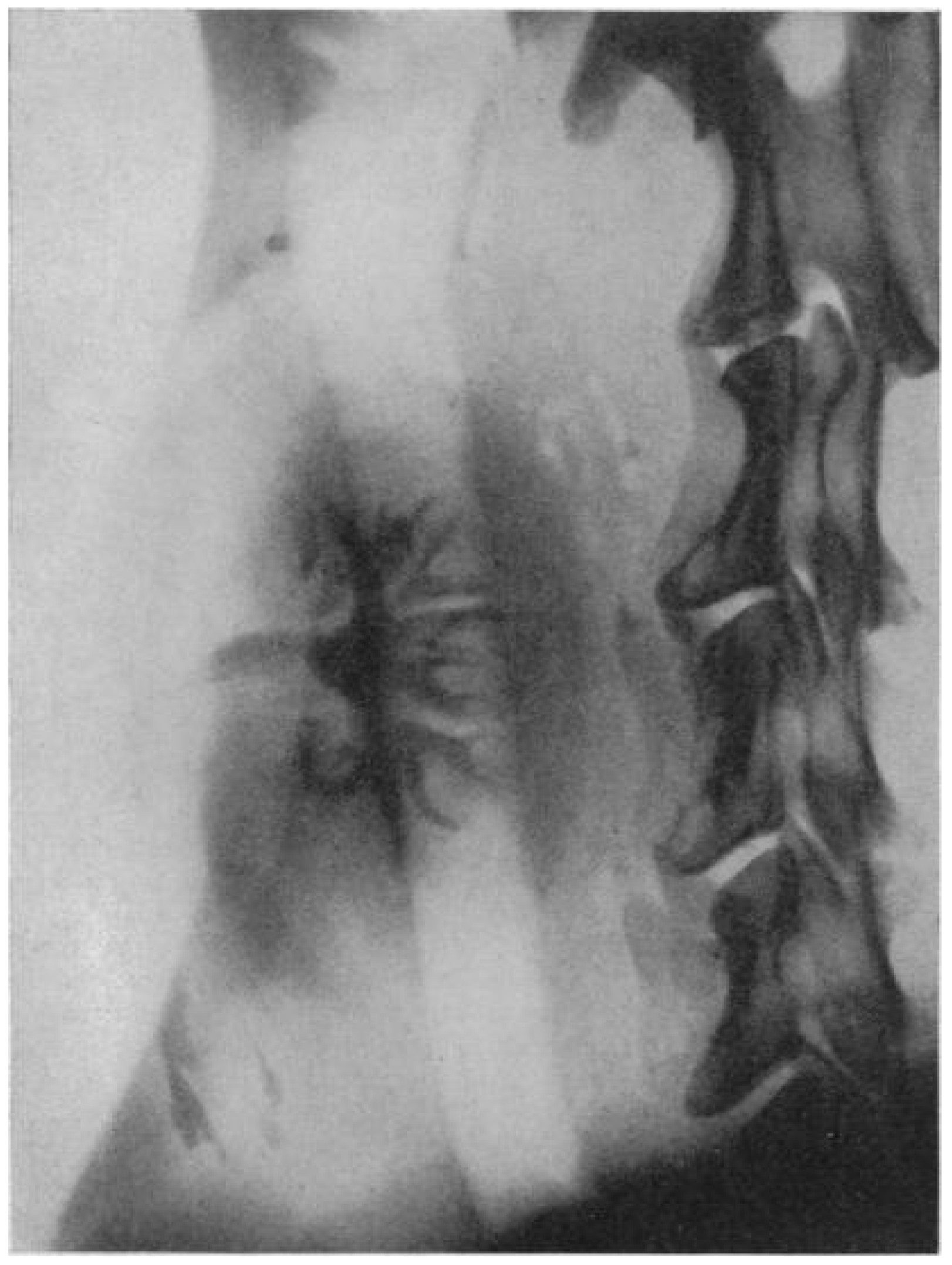 Diagnostics 11 00047 g001