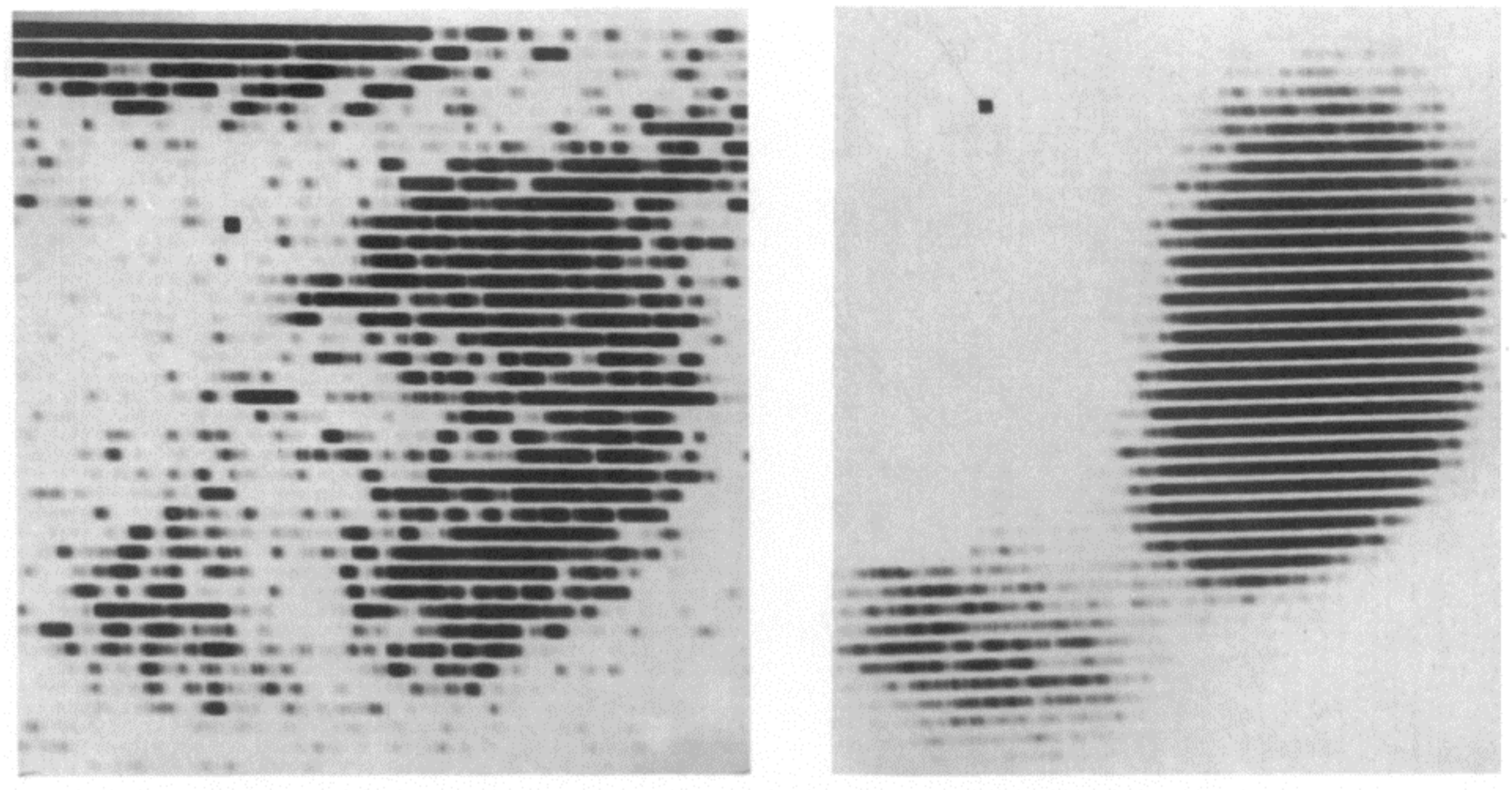 Diagnostics 11 00047 g002