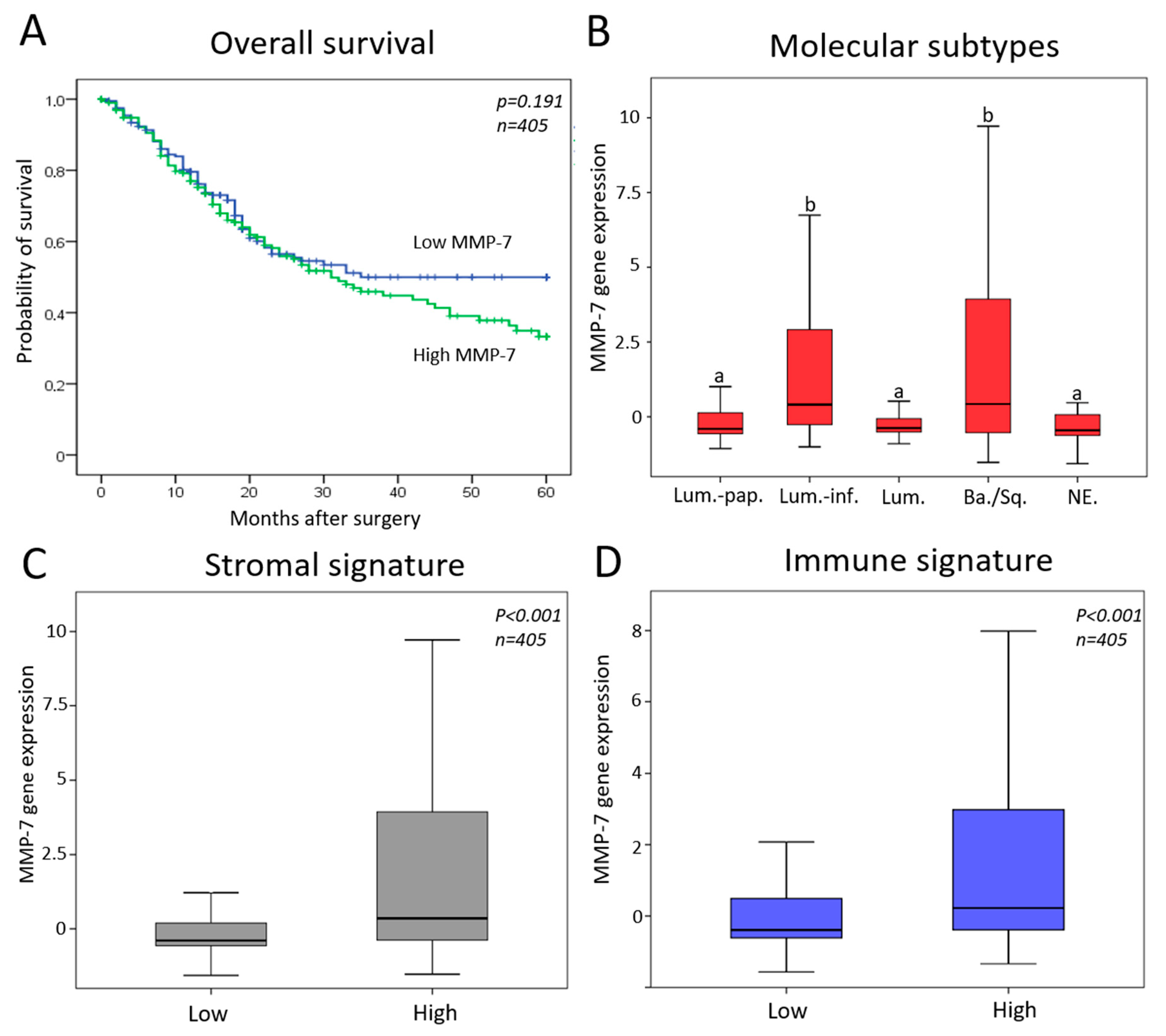 Diagnostics 11 00048 g004