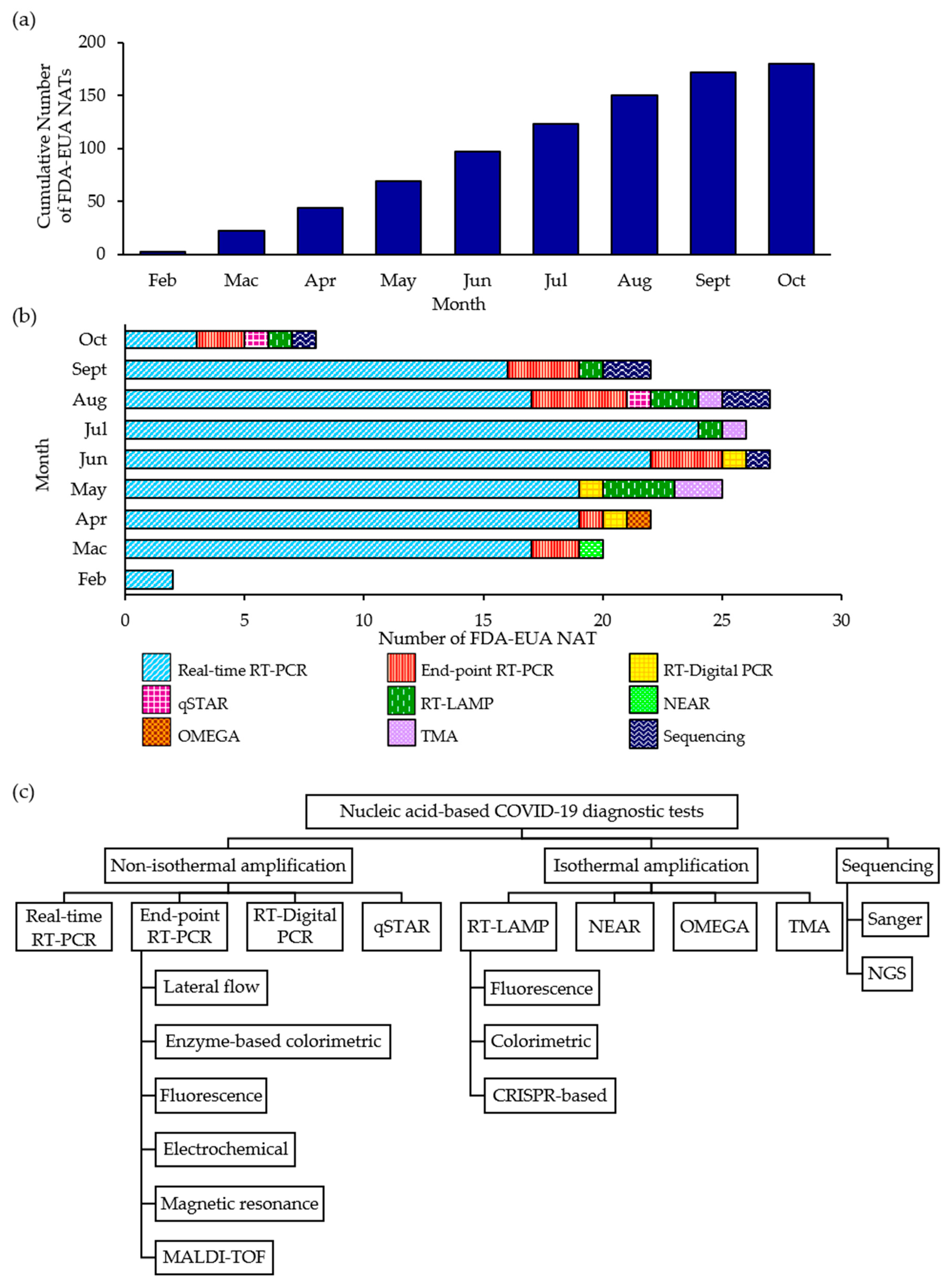 Diagnostics 11 00053 g001