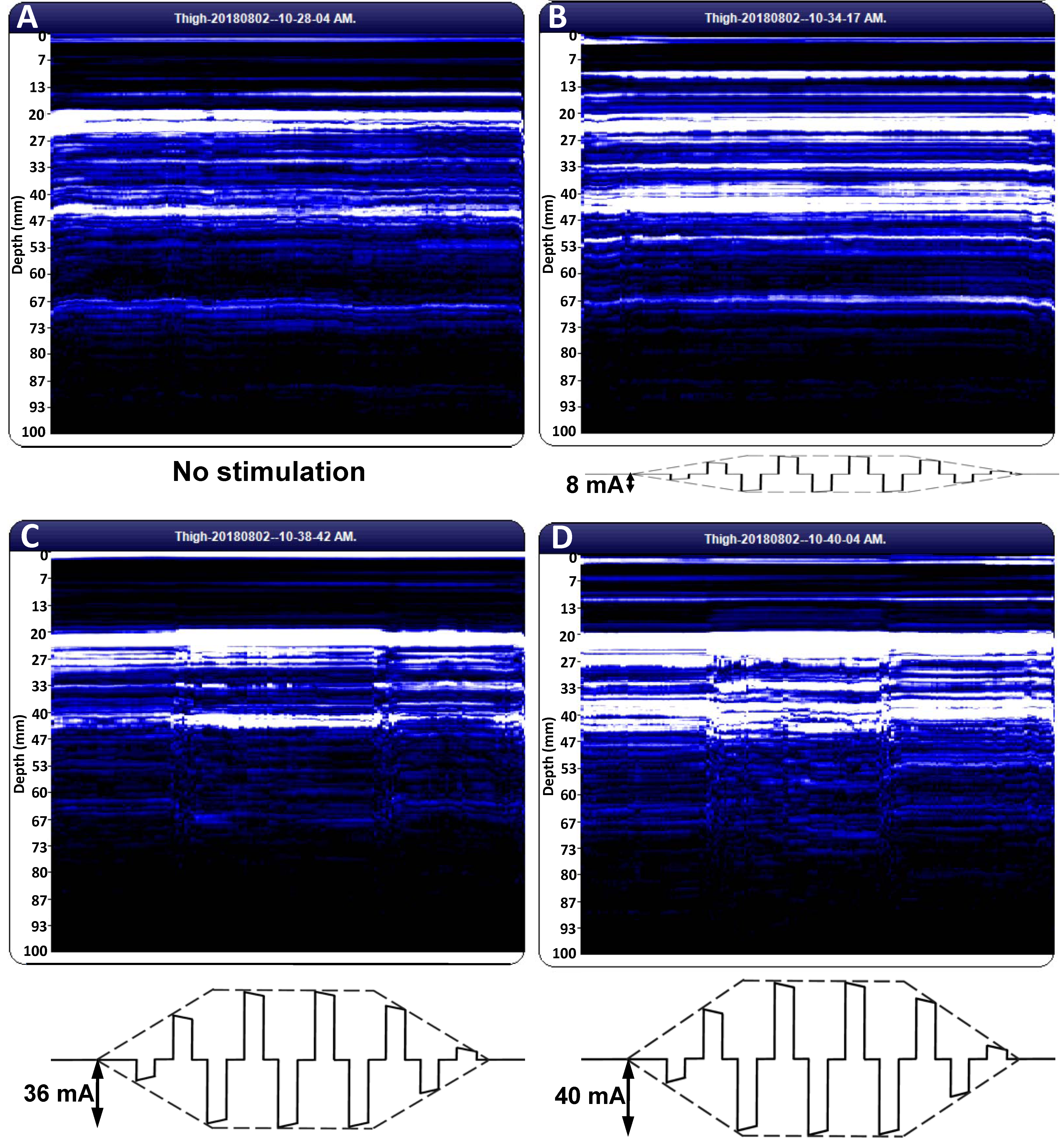 Diagnostics 11 00065 g001 Diagnostics 11 00065 g001