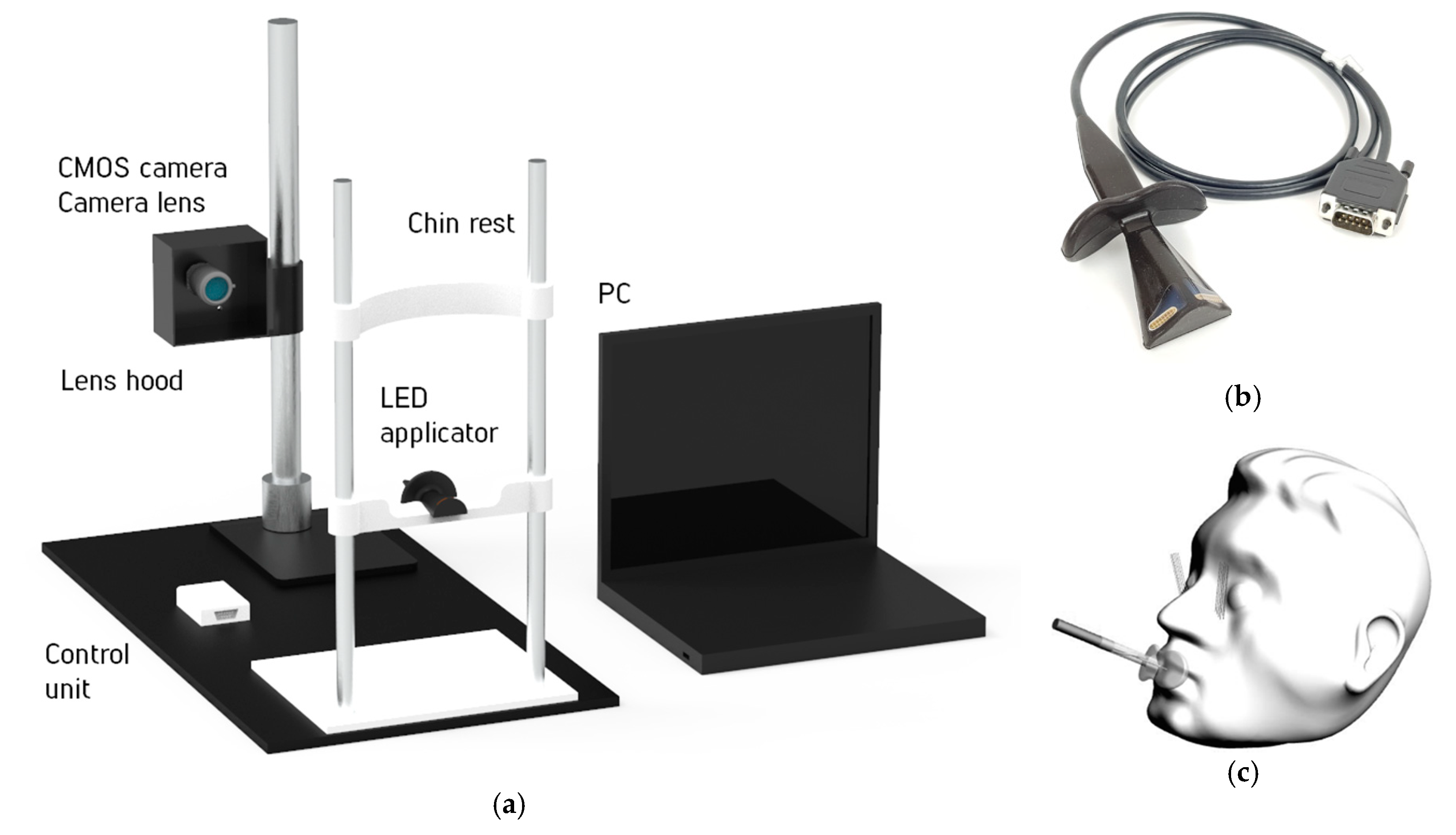 Diagnostics 11 00077 g001