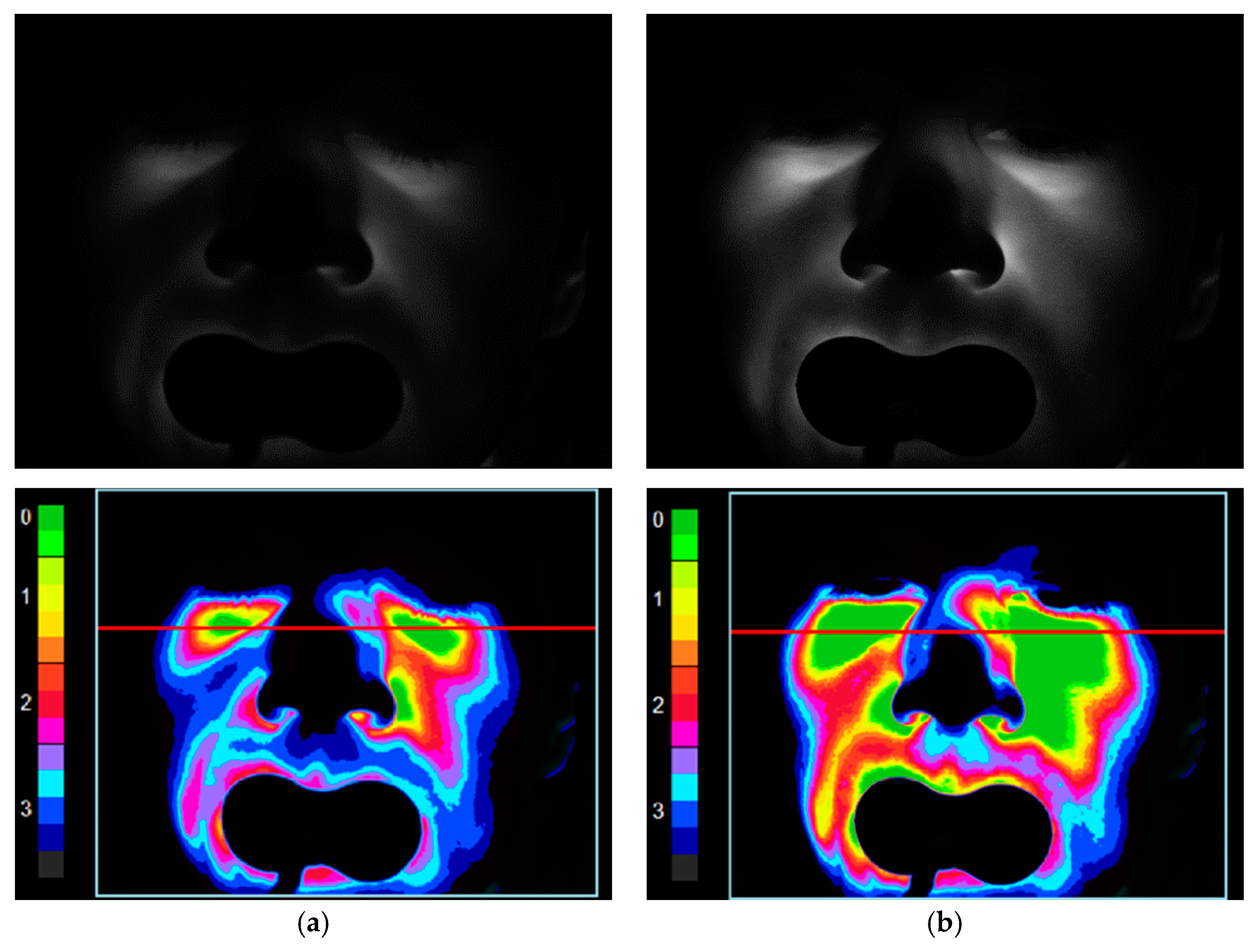 Diagnostics 11 00077 g002