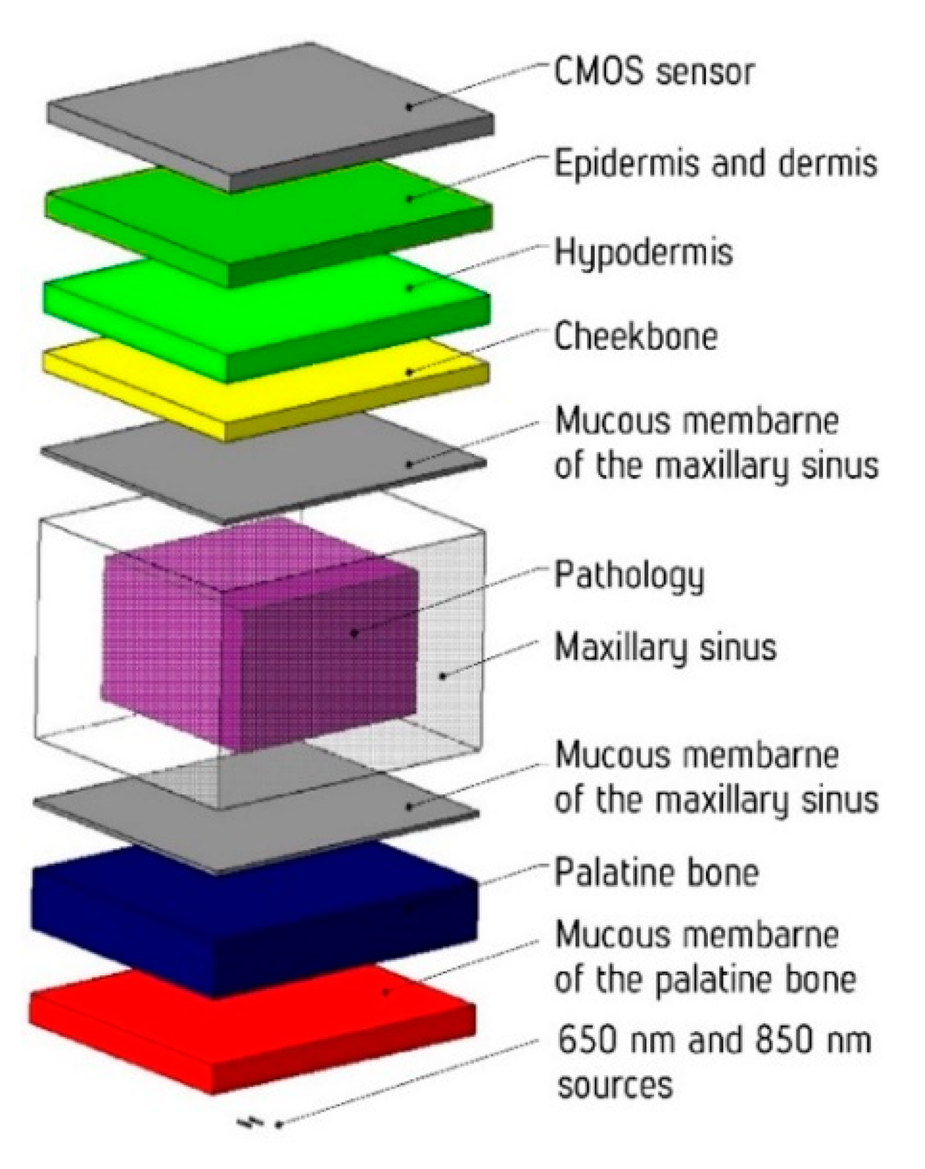 Diagnostics 11 00077 g005