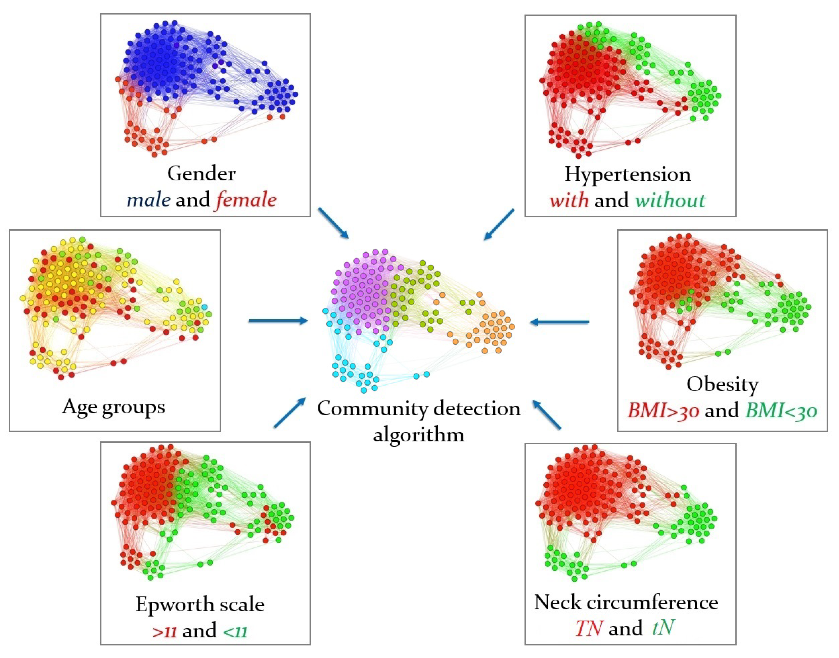 Diagnostics 11 00086 g003
