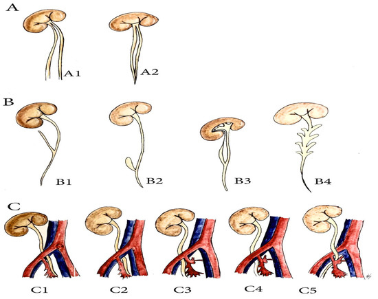 Diagnostics 11 00089 g006