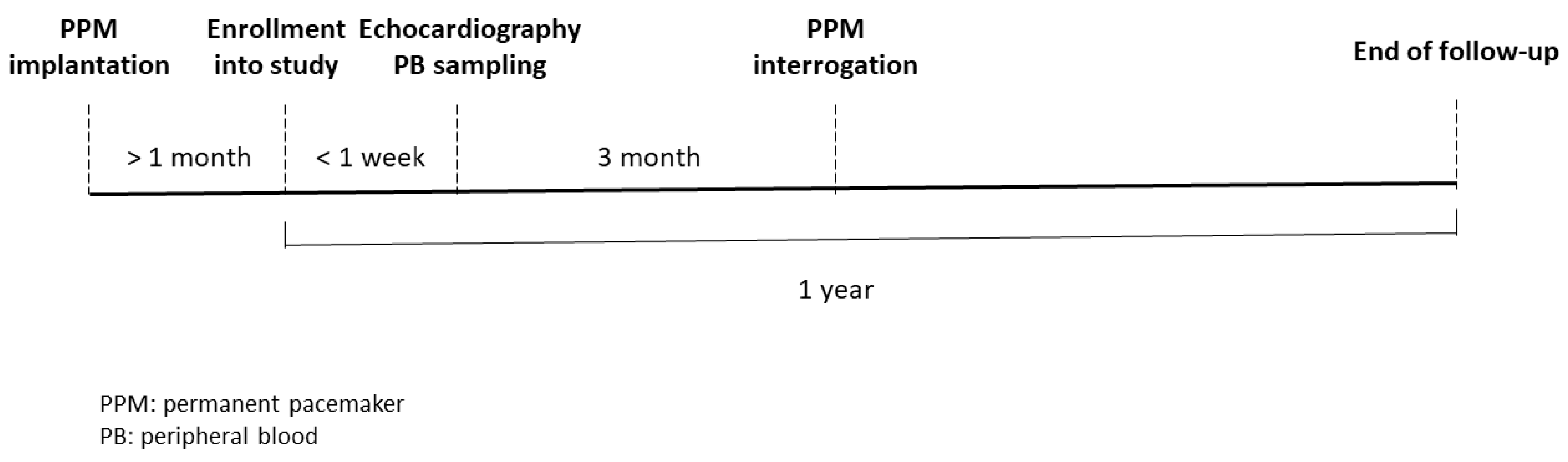 Diagnostics 11 00090 g001