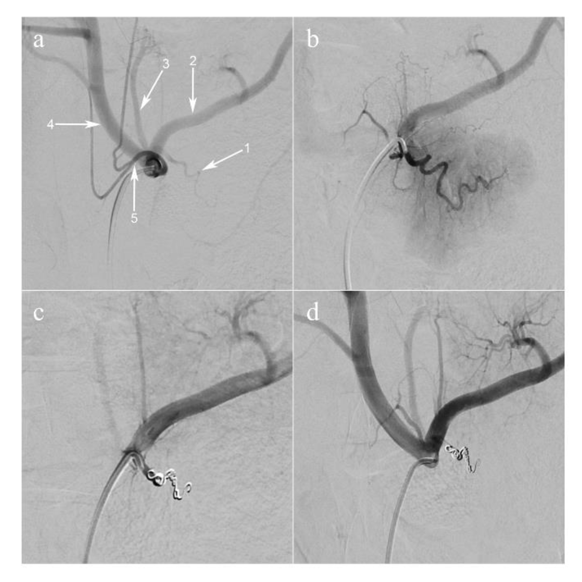 Diagnostics 11 00093 g001