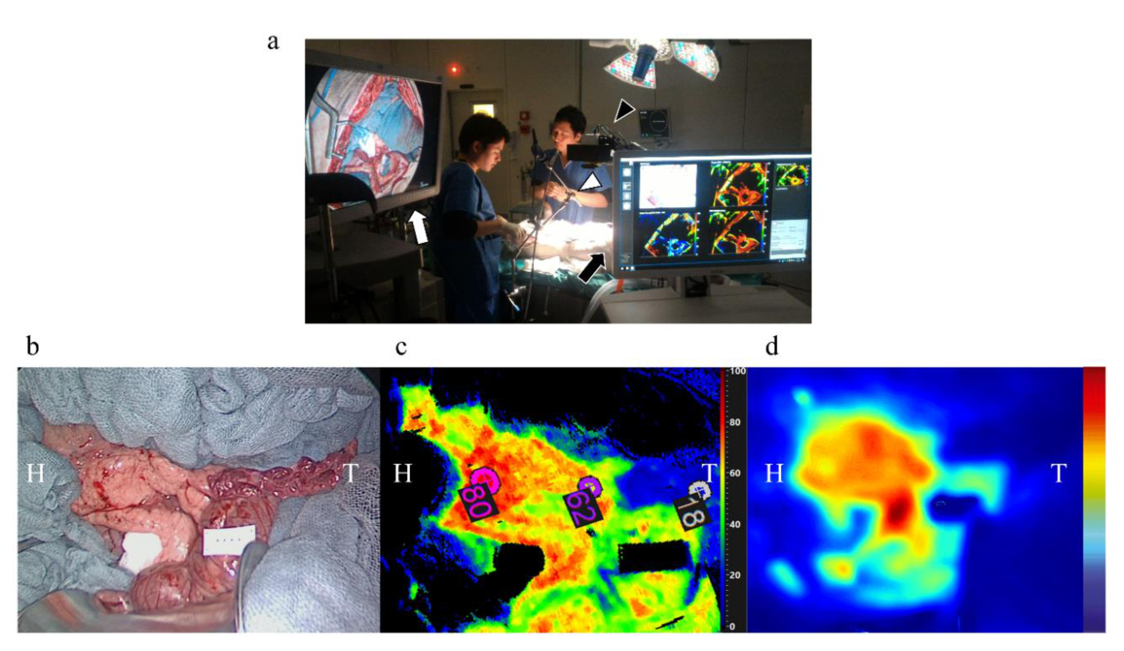 Diagnostics 11 00093 g002
