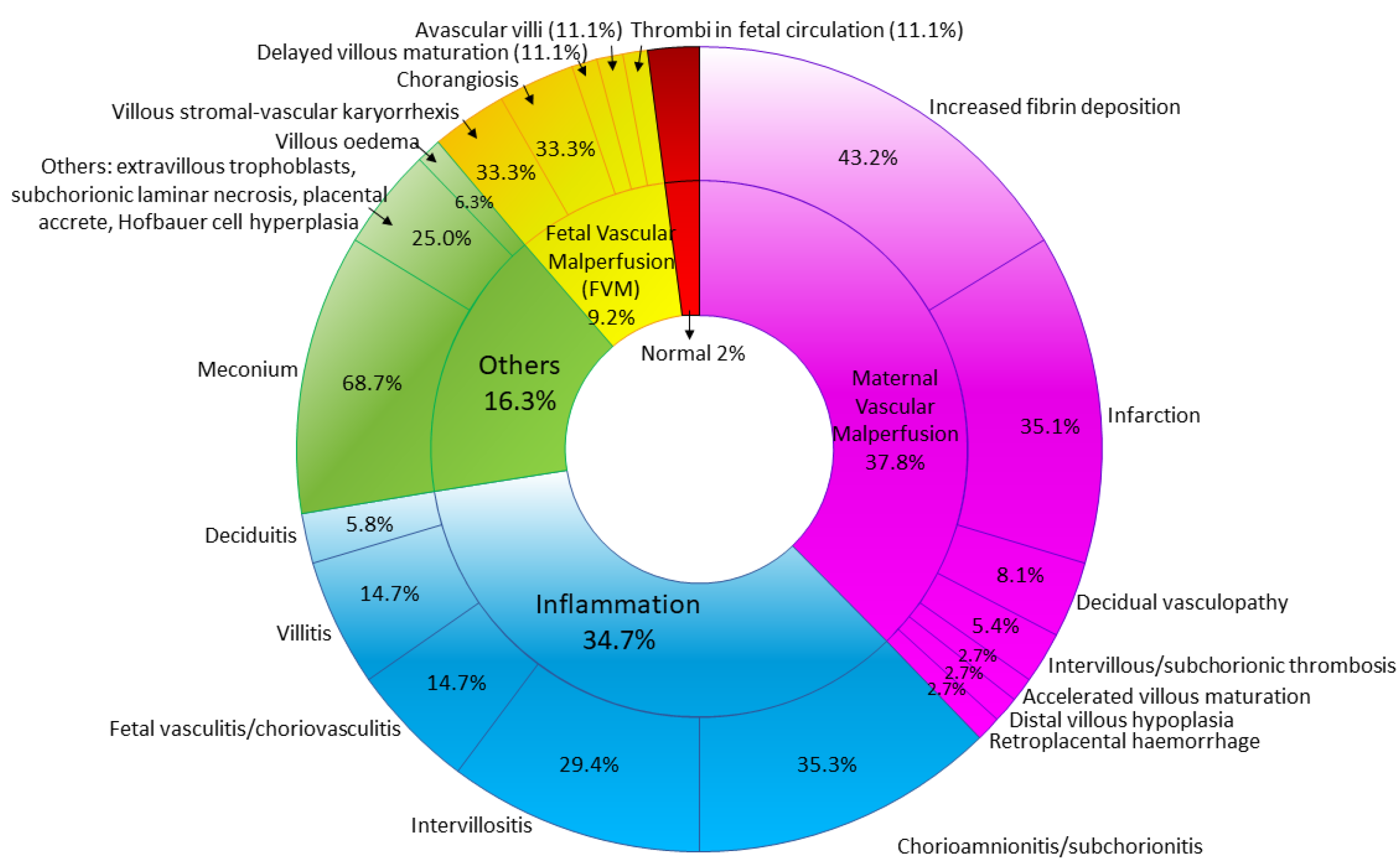 Diagnostics 11 00094 g001 Diagnostics 11 00094 g001