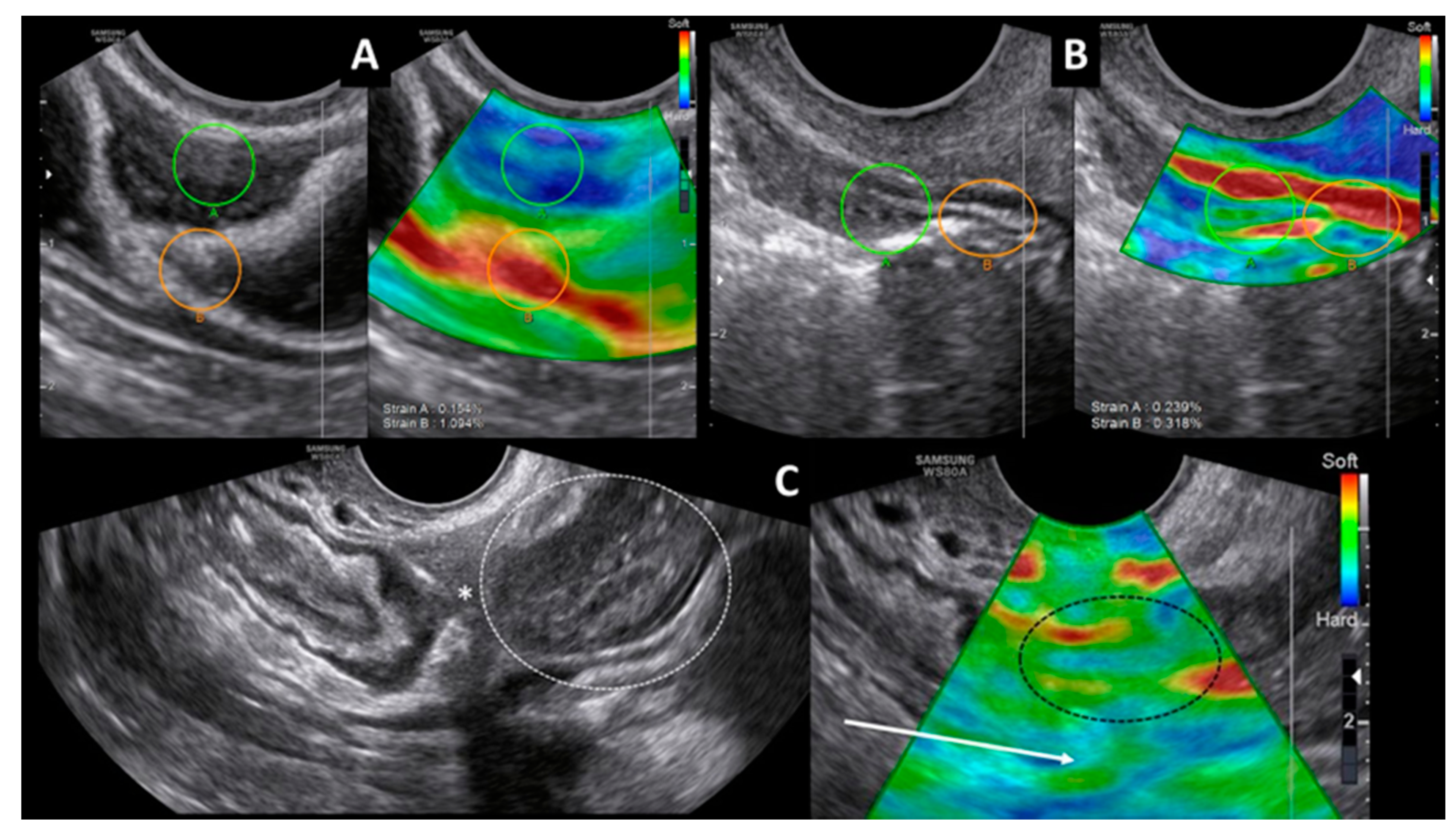 Diagnostics 11 00100 g001