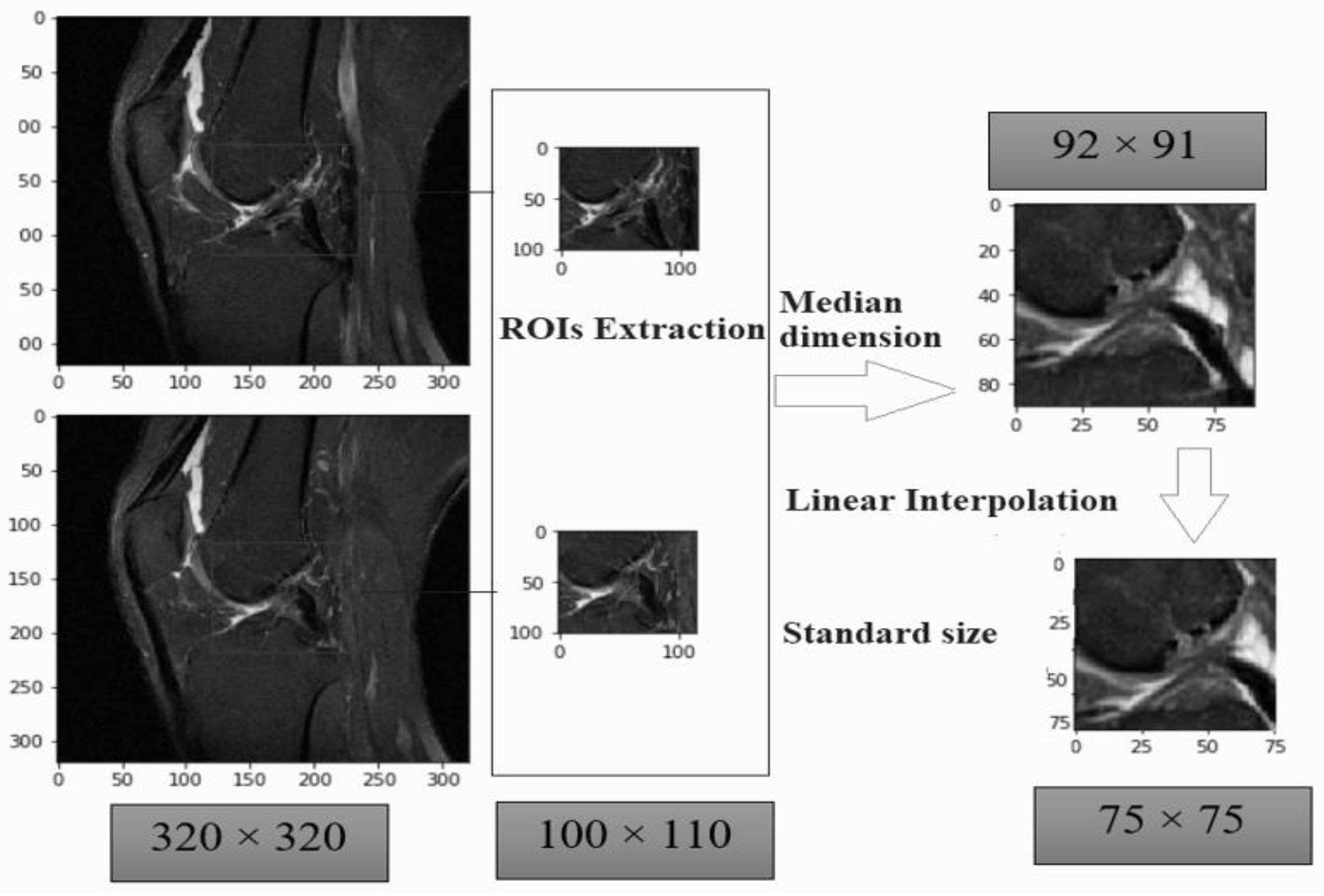 Diagnostics 11 00105 g003