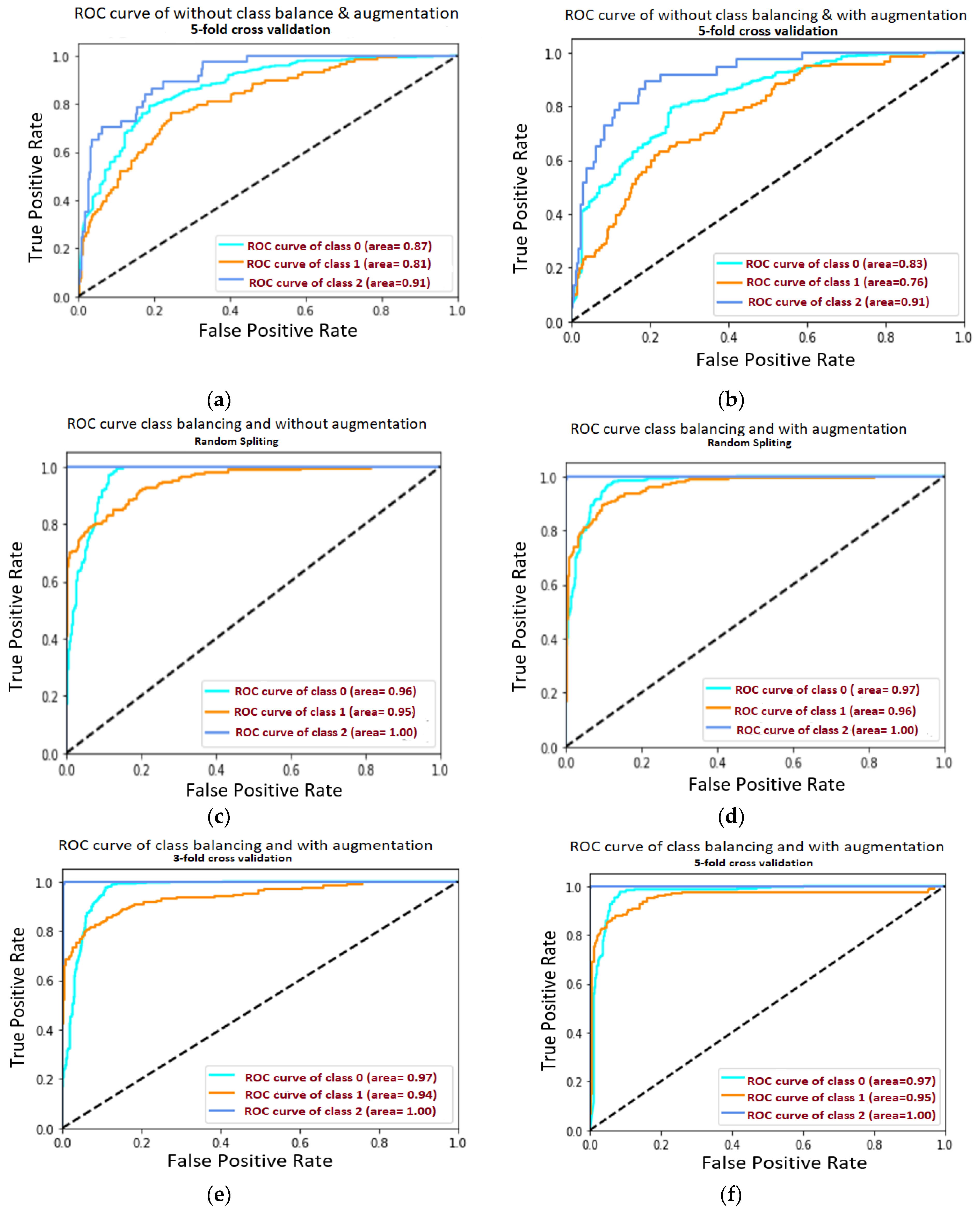 Diagnostics 11 00105 g010