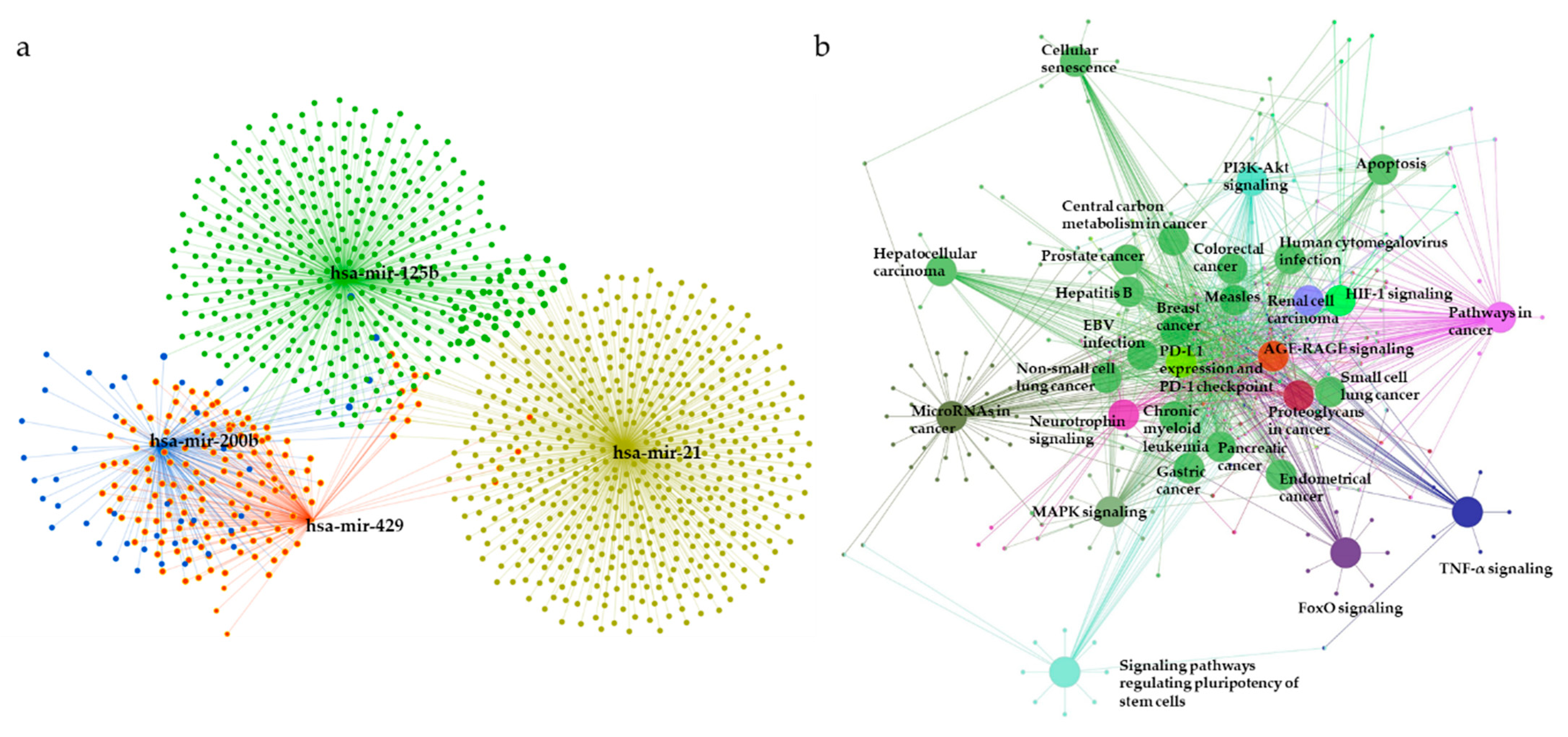 Diagnostics 11 00107 g007