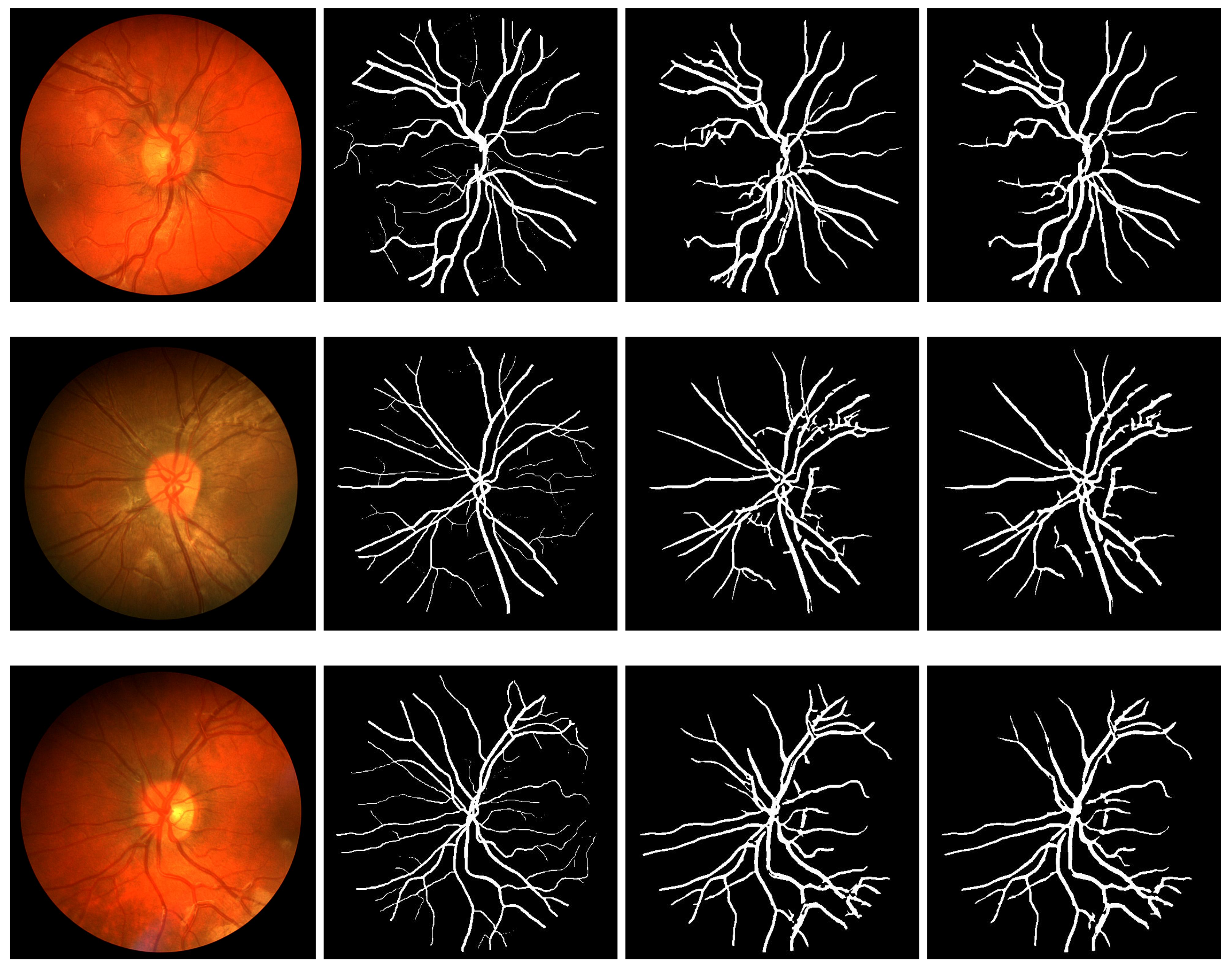 Diagnostics 11 00114 g009