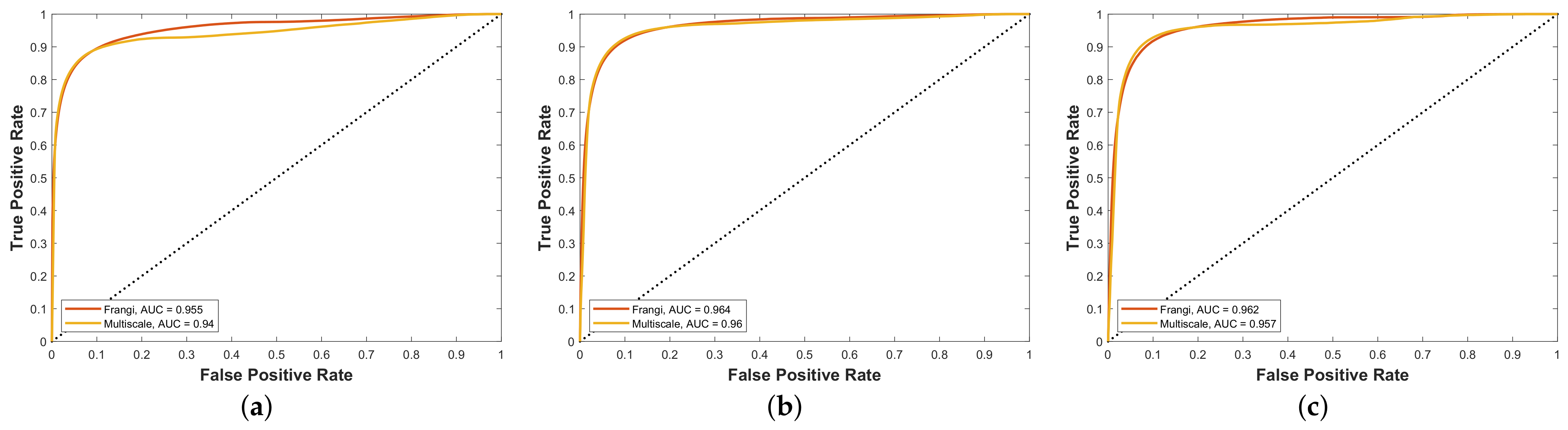 Diagnostics 11 00114 g010