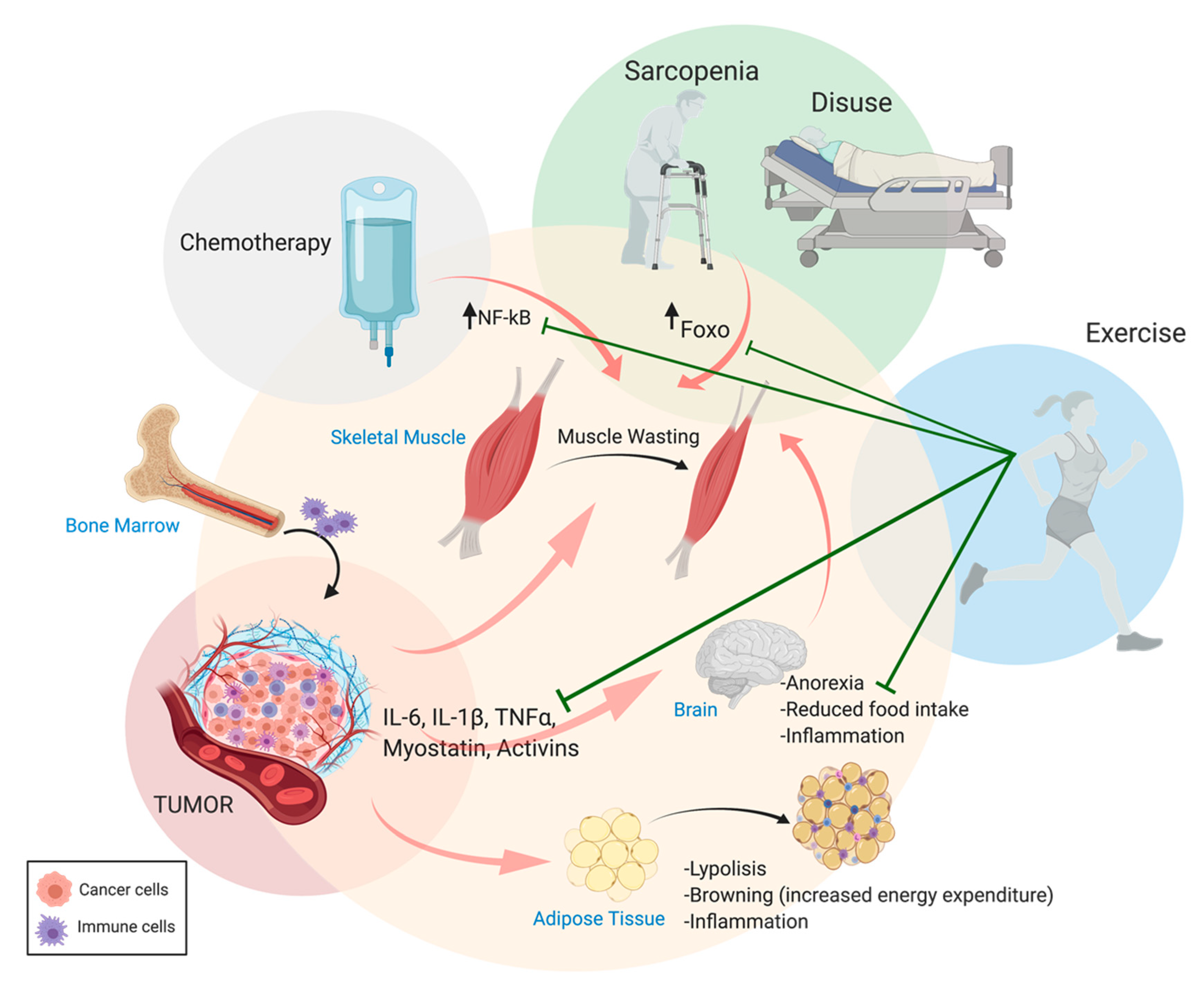 Diagnostics 11 00116 g001