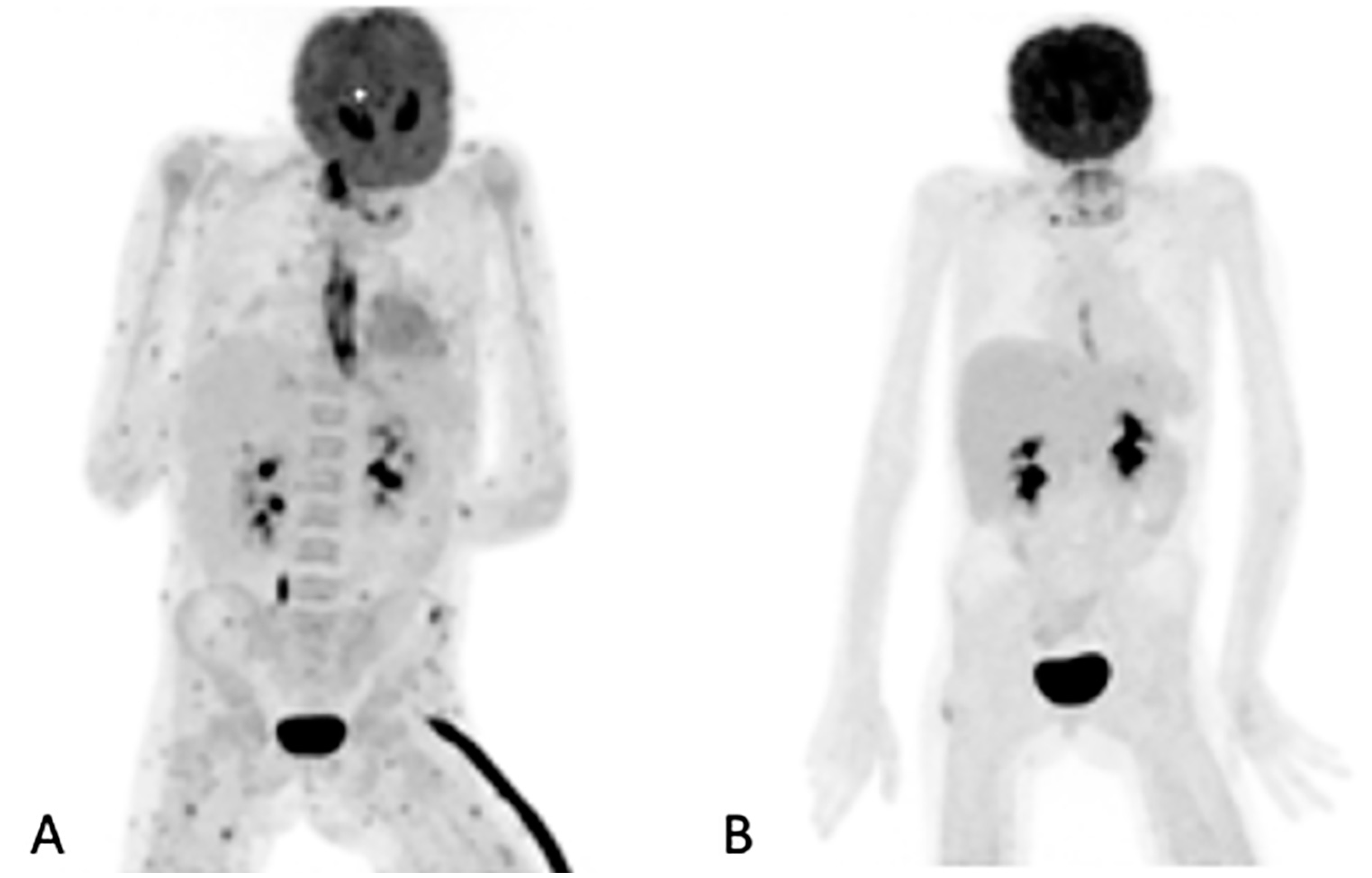 Diagnostics 11 00137 g002 Diagnostics 11 00137 g002