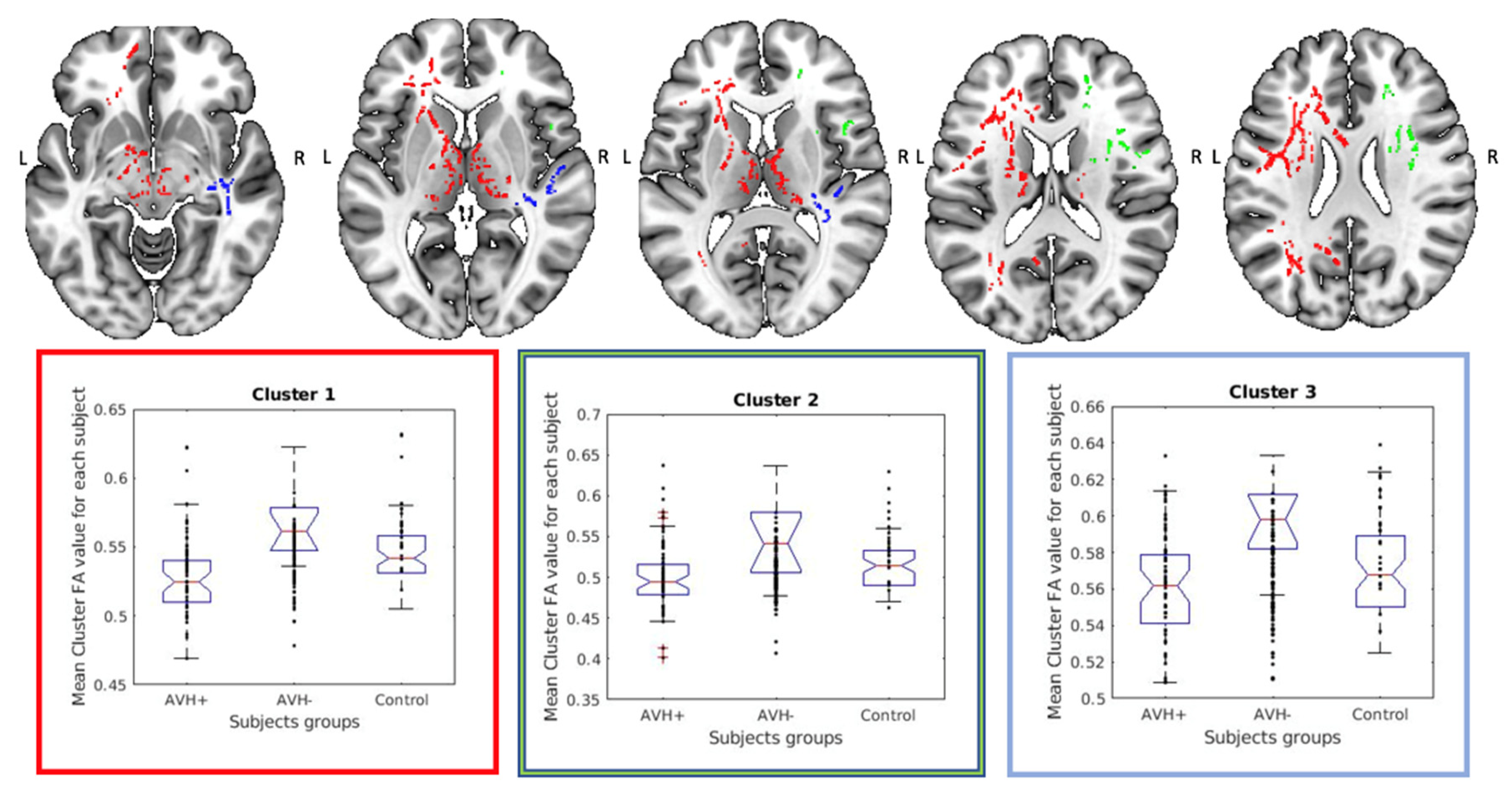 Diagnostics 11 00139 g001 Diagnostics 11 00139 g001