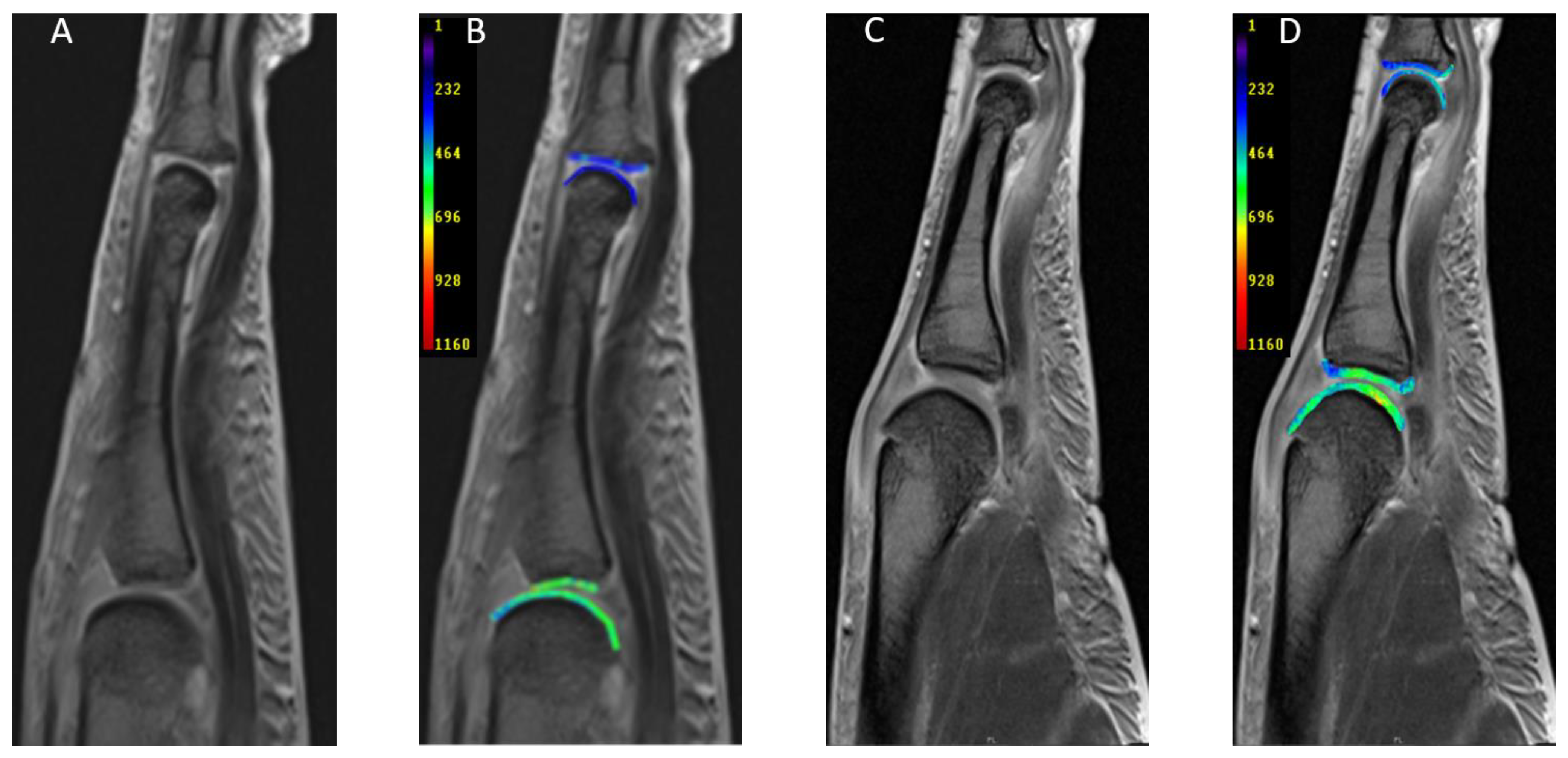 Diagnostics 11 00147 g001