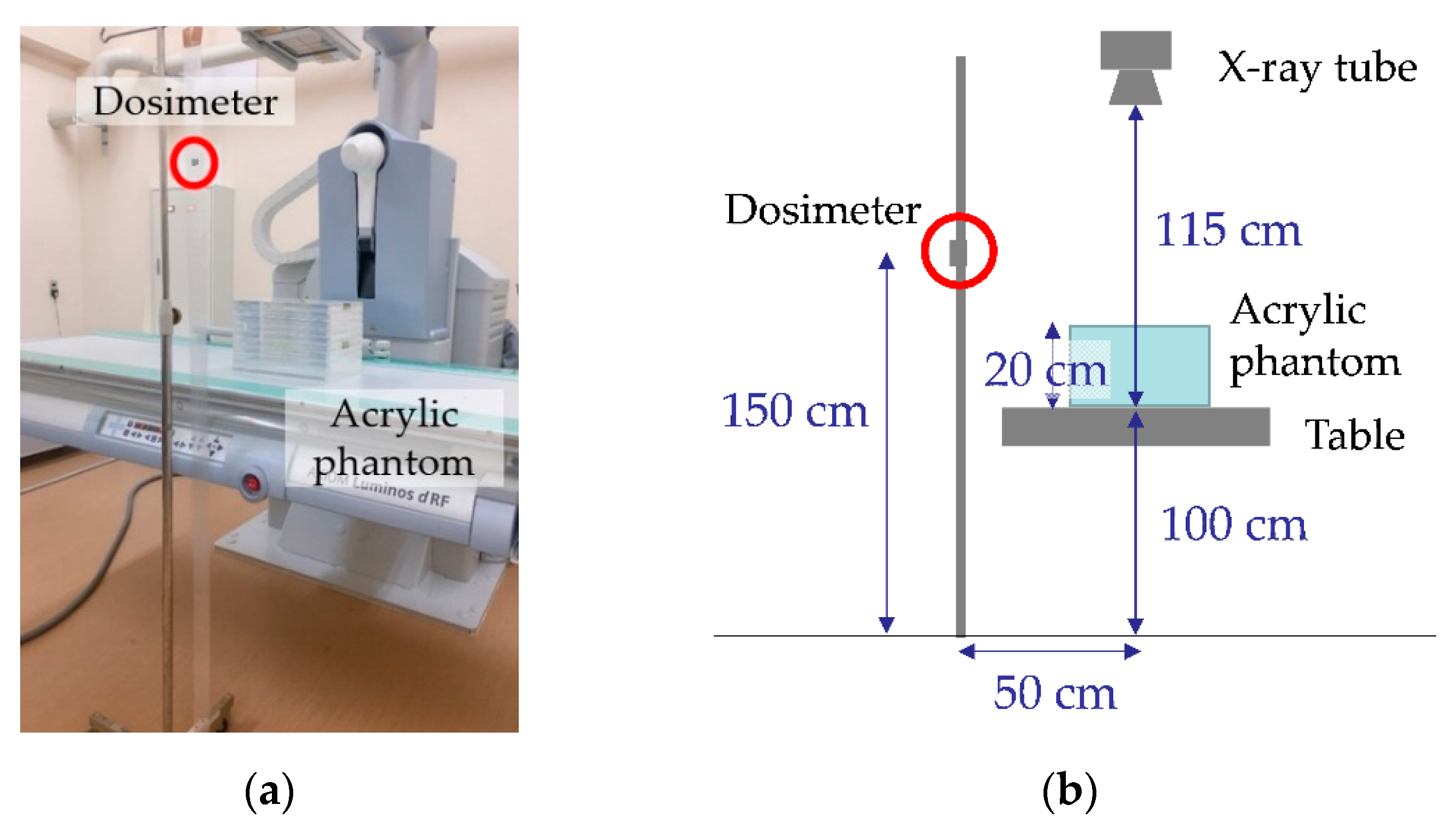 Diagnostics 11 00150 g001