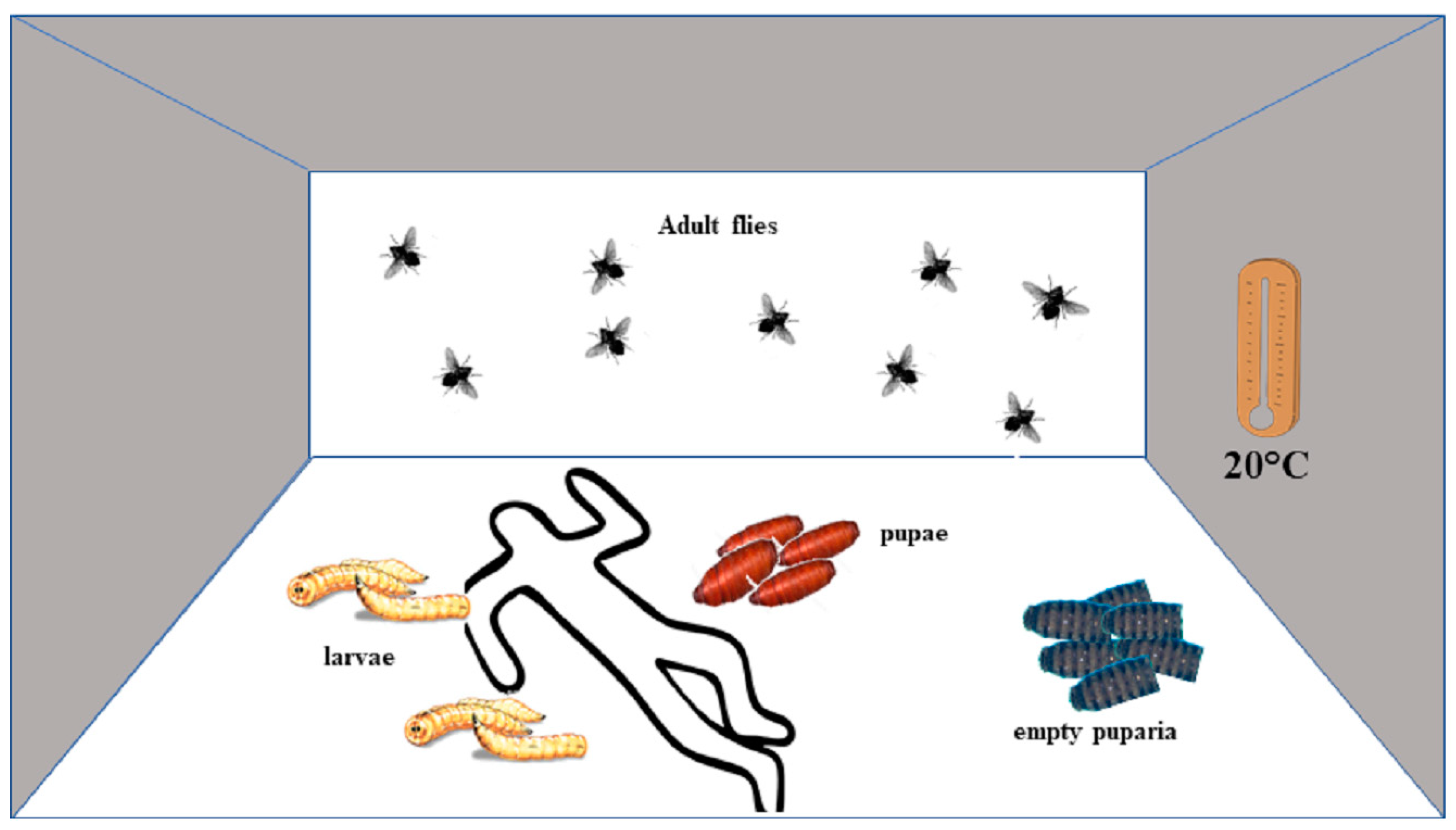 Diagnostics 11 00152 g001