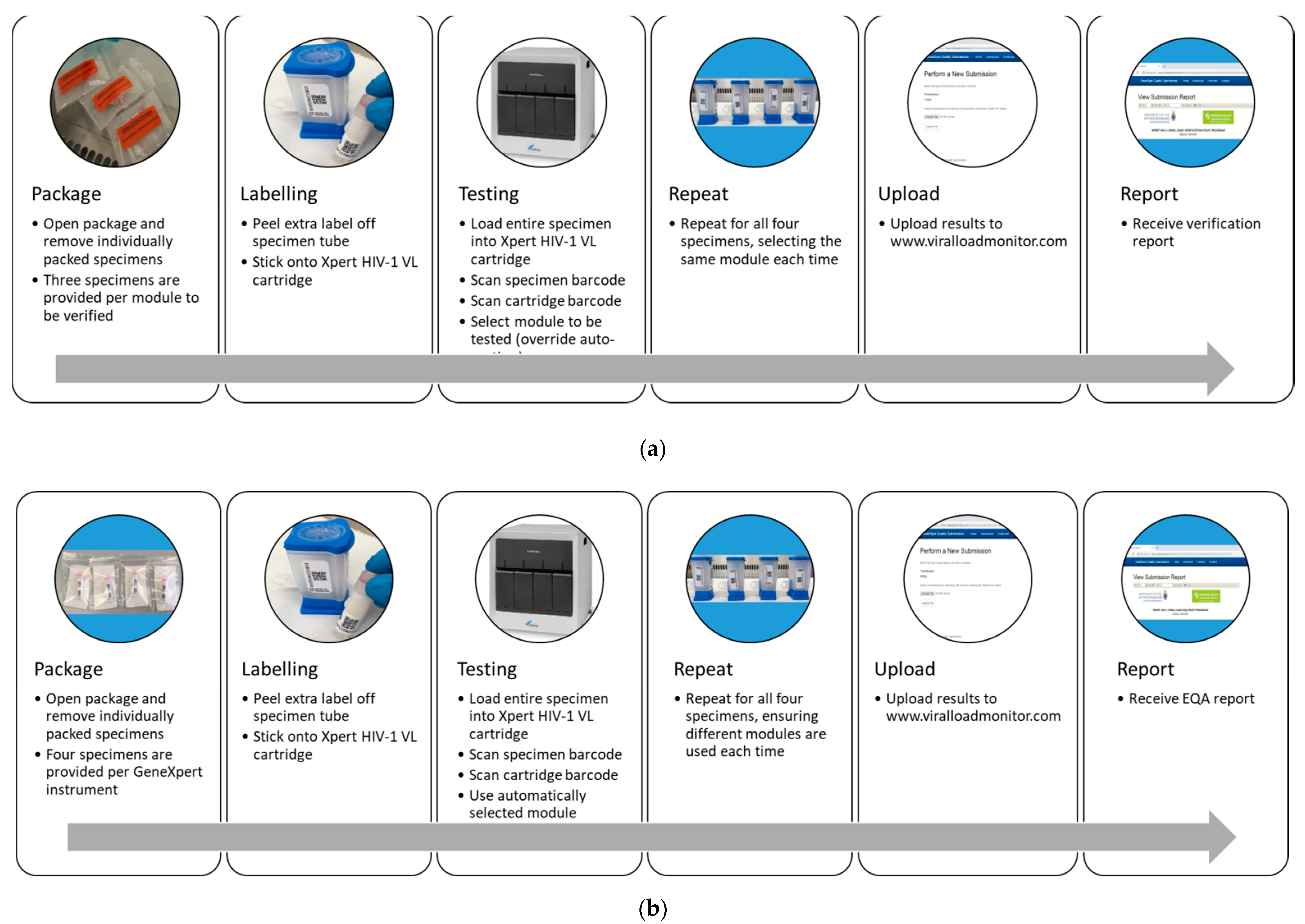 Diagnostics 11 00160 g001