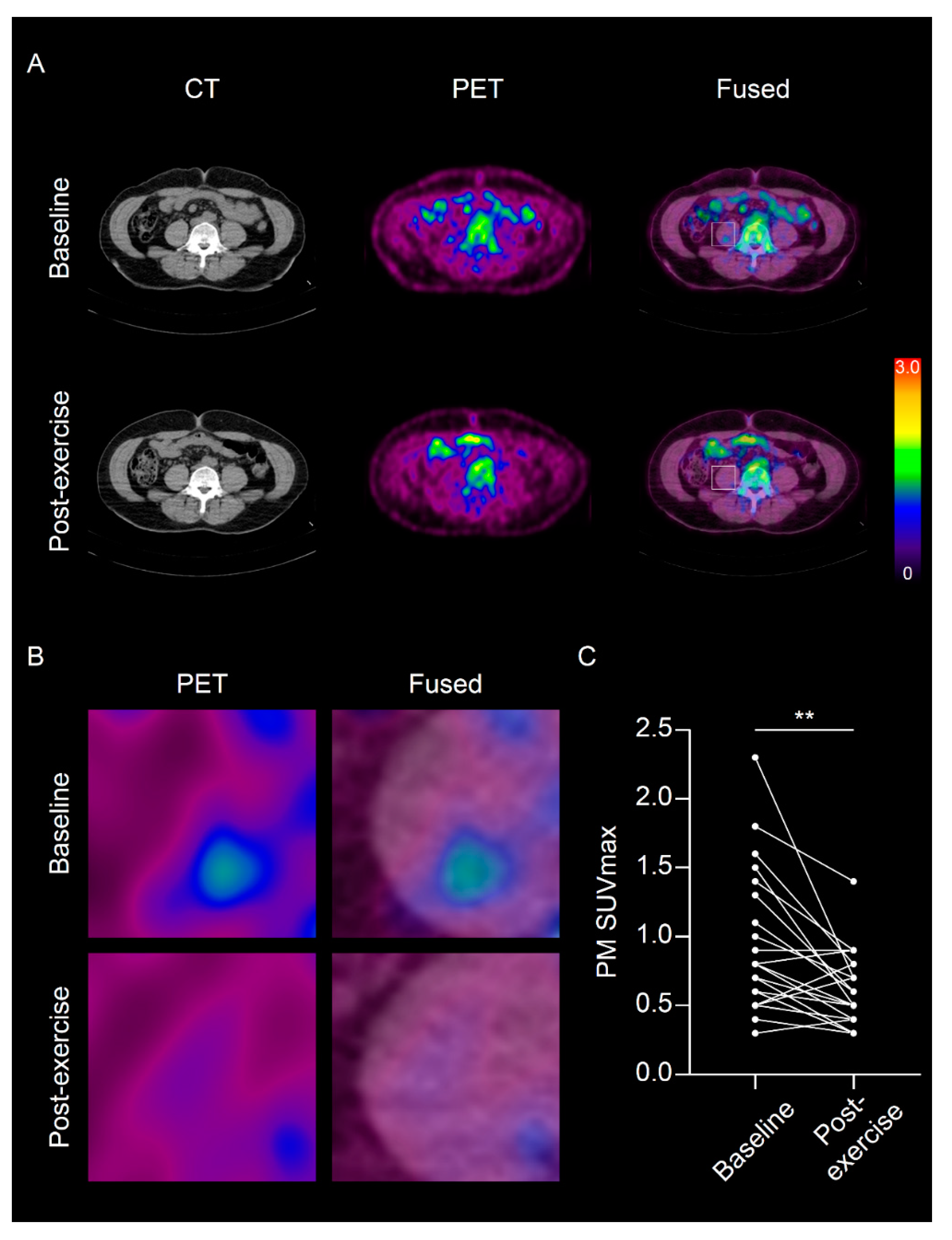 Diagnostics 11 00164 g002
