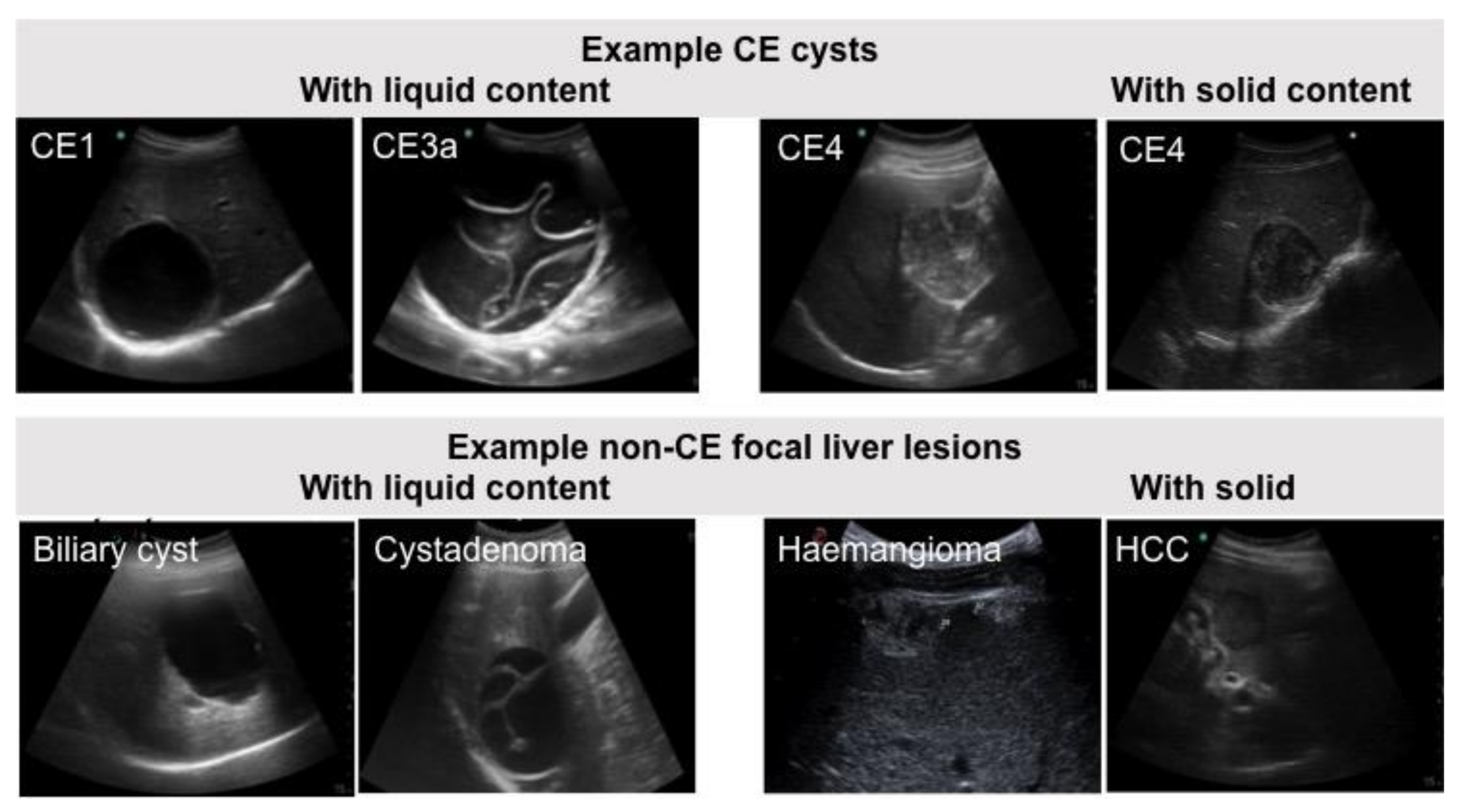 Diagnostics 11 00167 g001