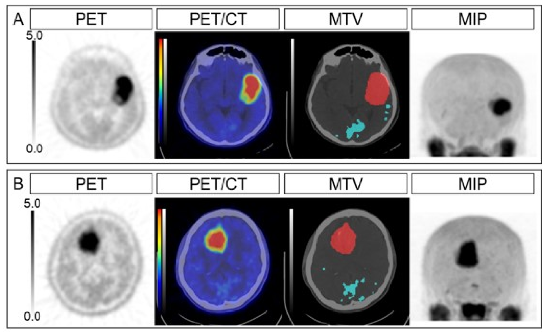 Diagnostics 11 00189 g001 Diagnostics 11 00189 g001