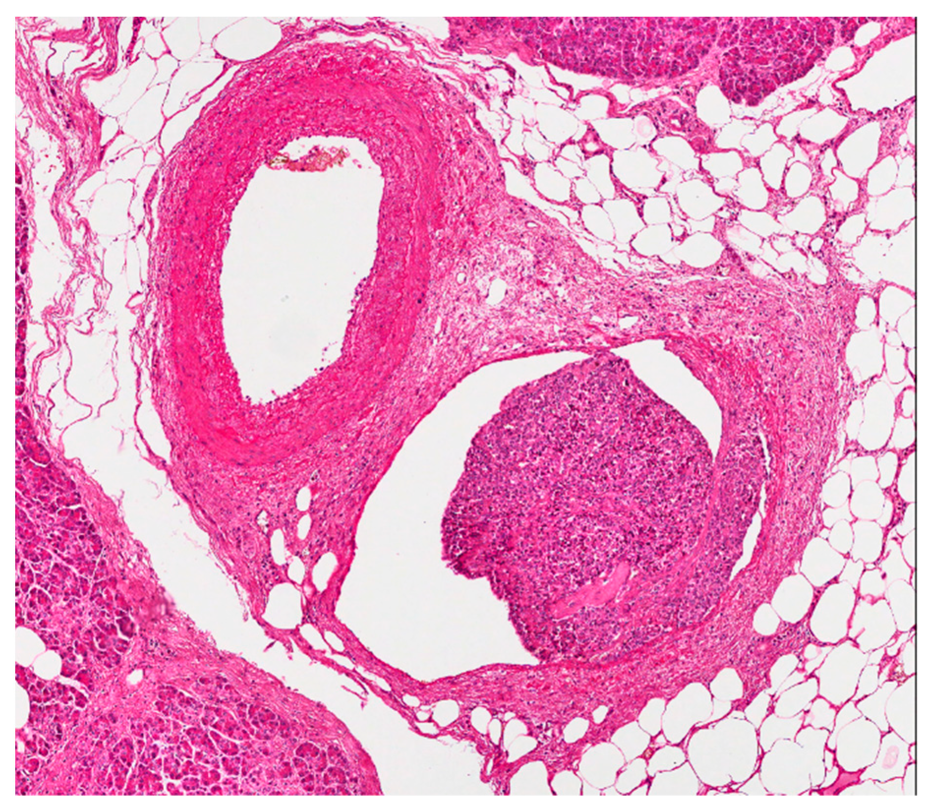 Diagnostics 11 00192 g003