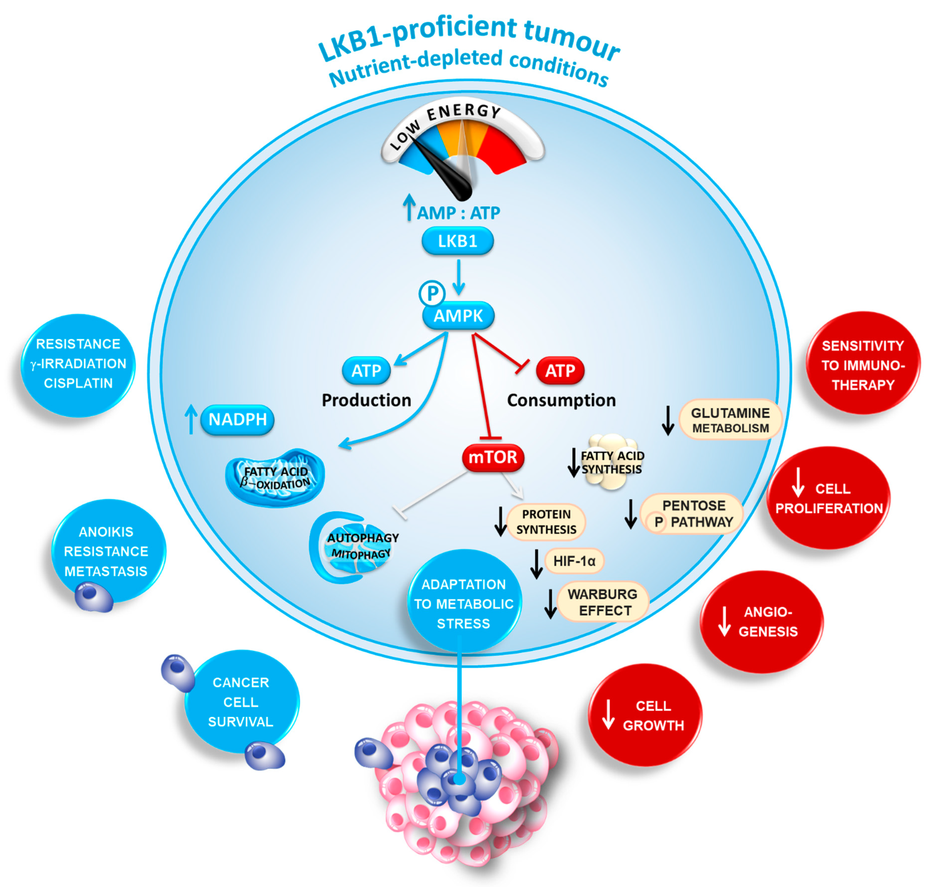 Diagnostics 11 00196 g001