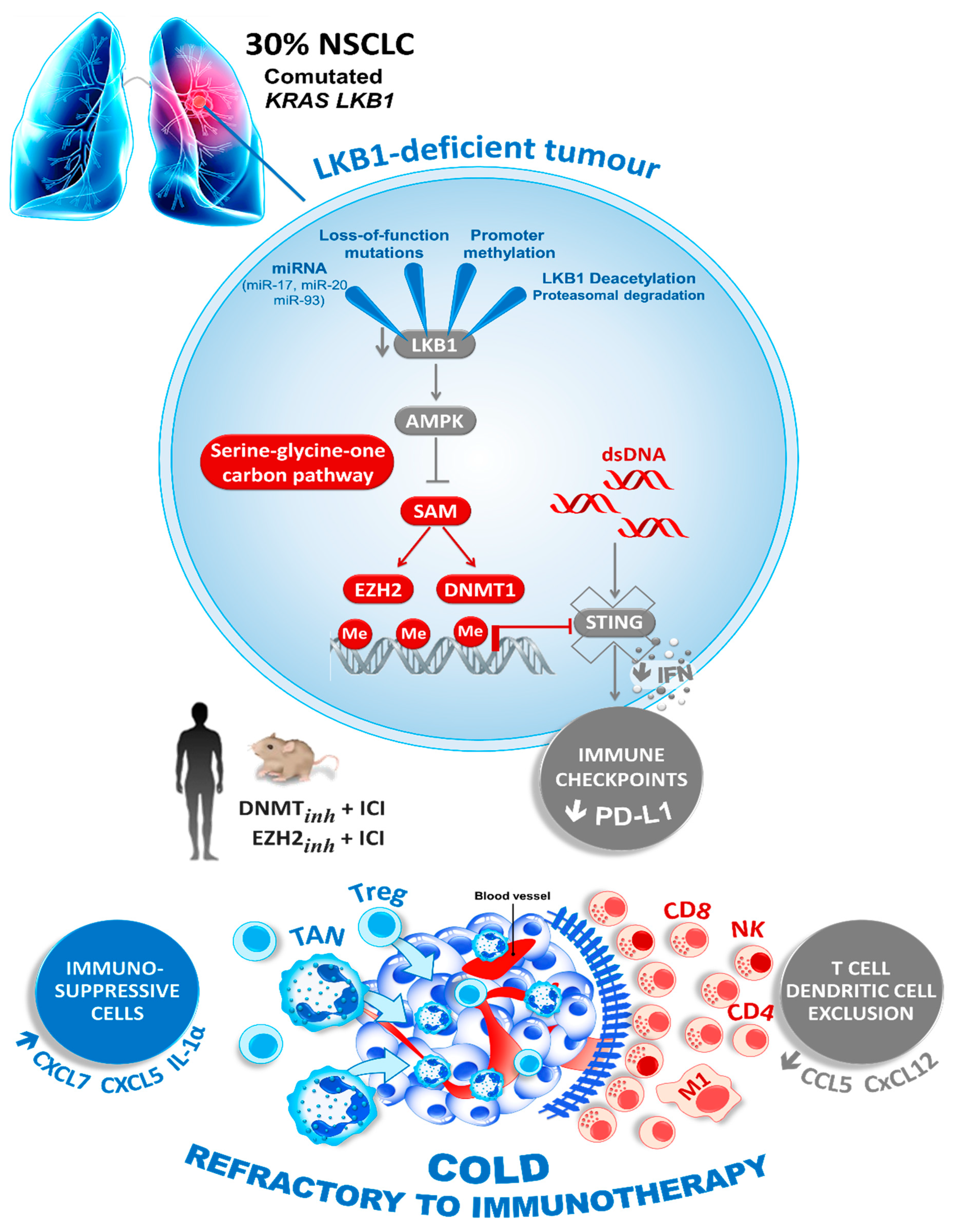 Diagnostics 11 00196 g002