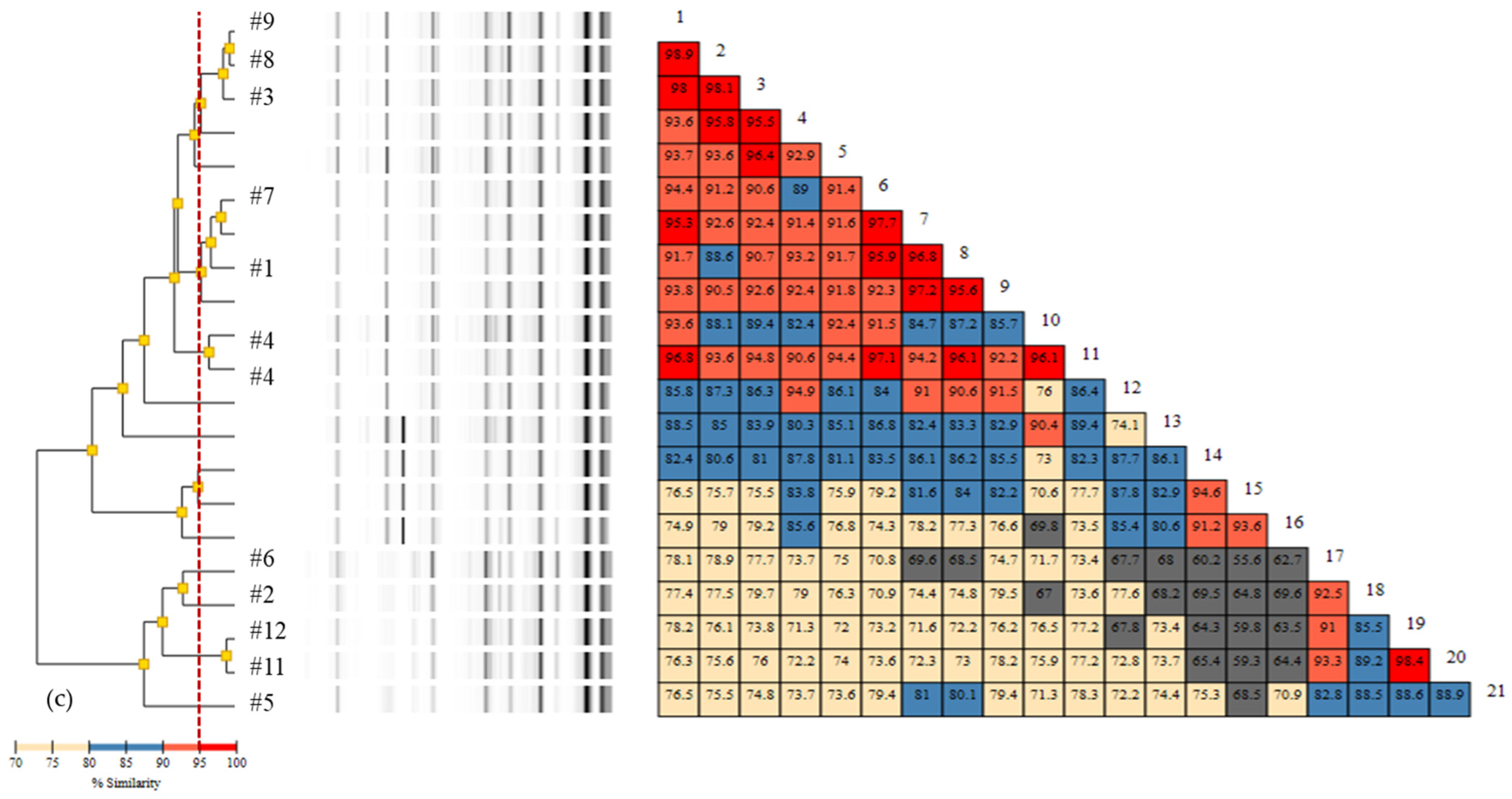 Diagnostics 11 00201 g003b