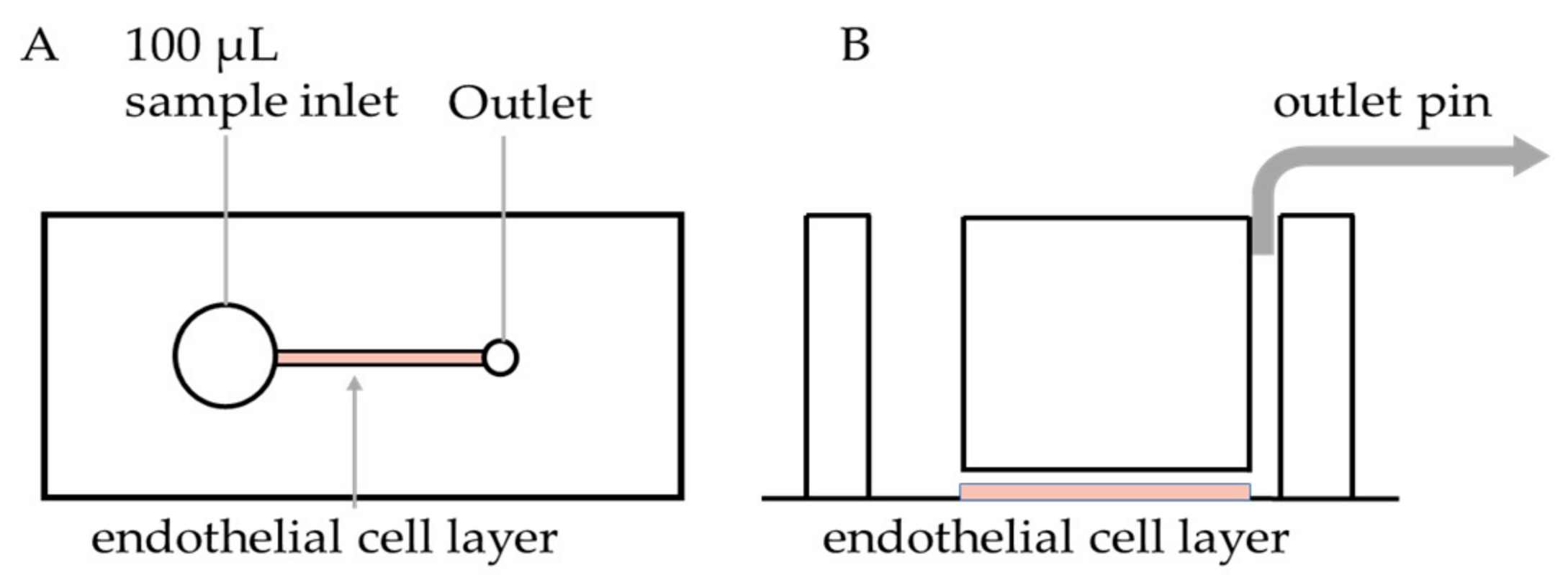 Diagnostics 11 00203 g001
