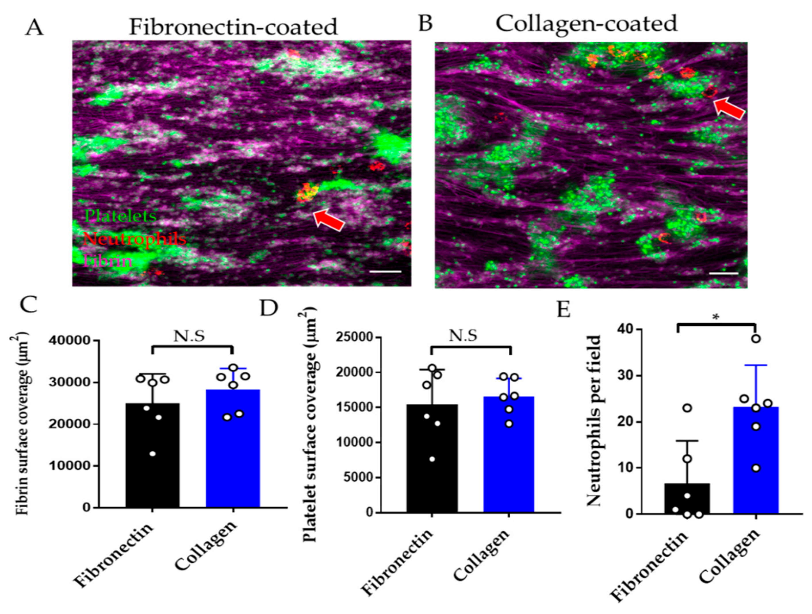 Diagnostics 11 00203 g005