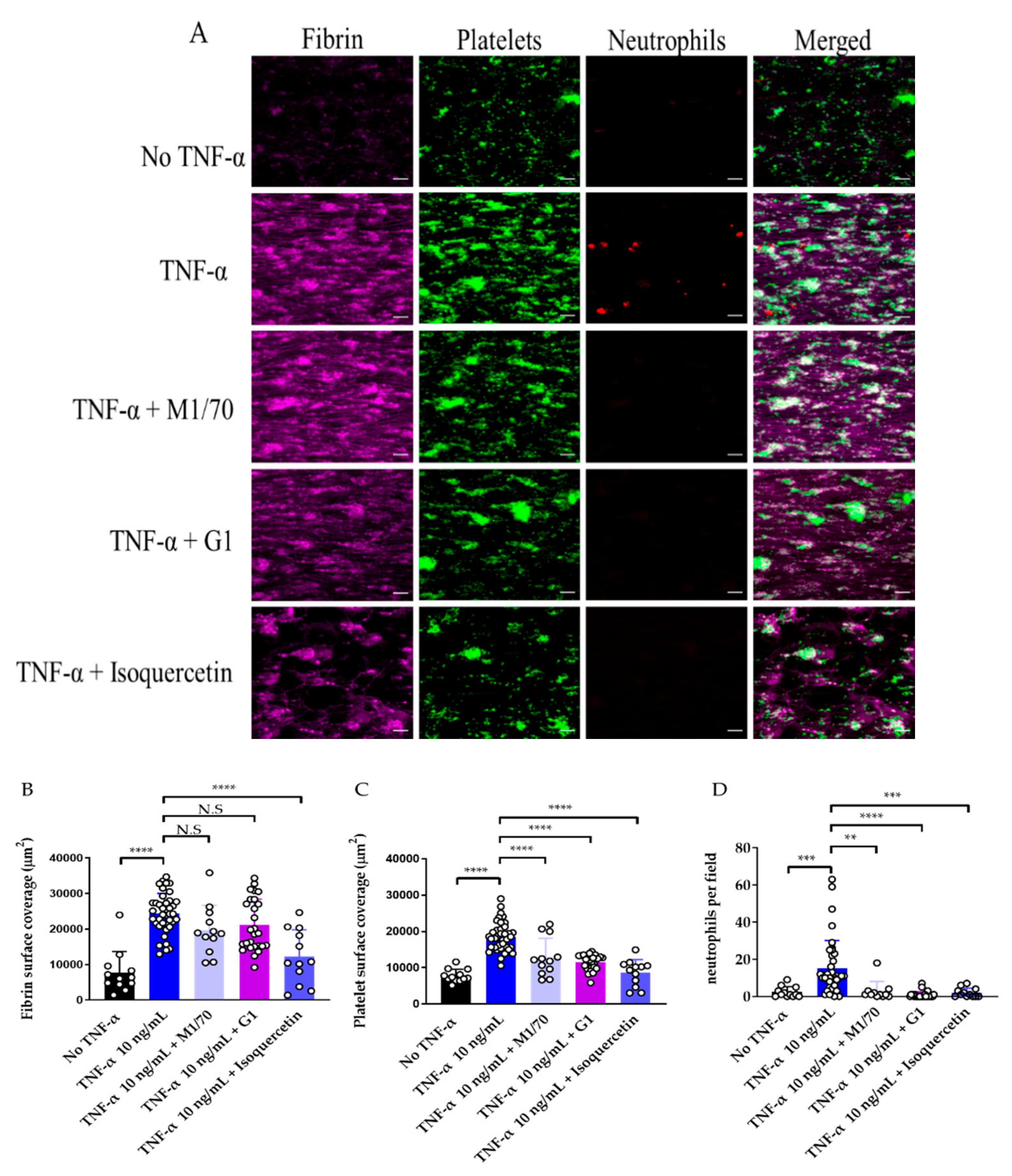 Diagnostics 11 00203 g008
