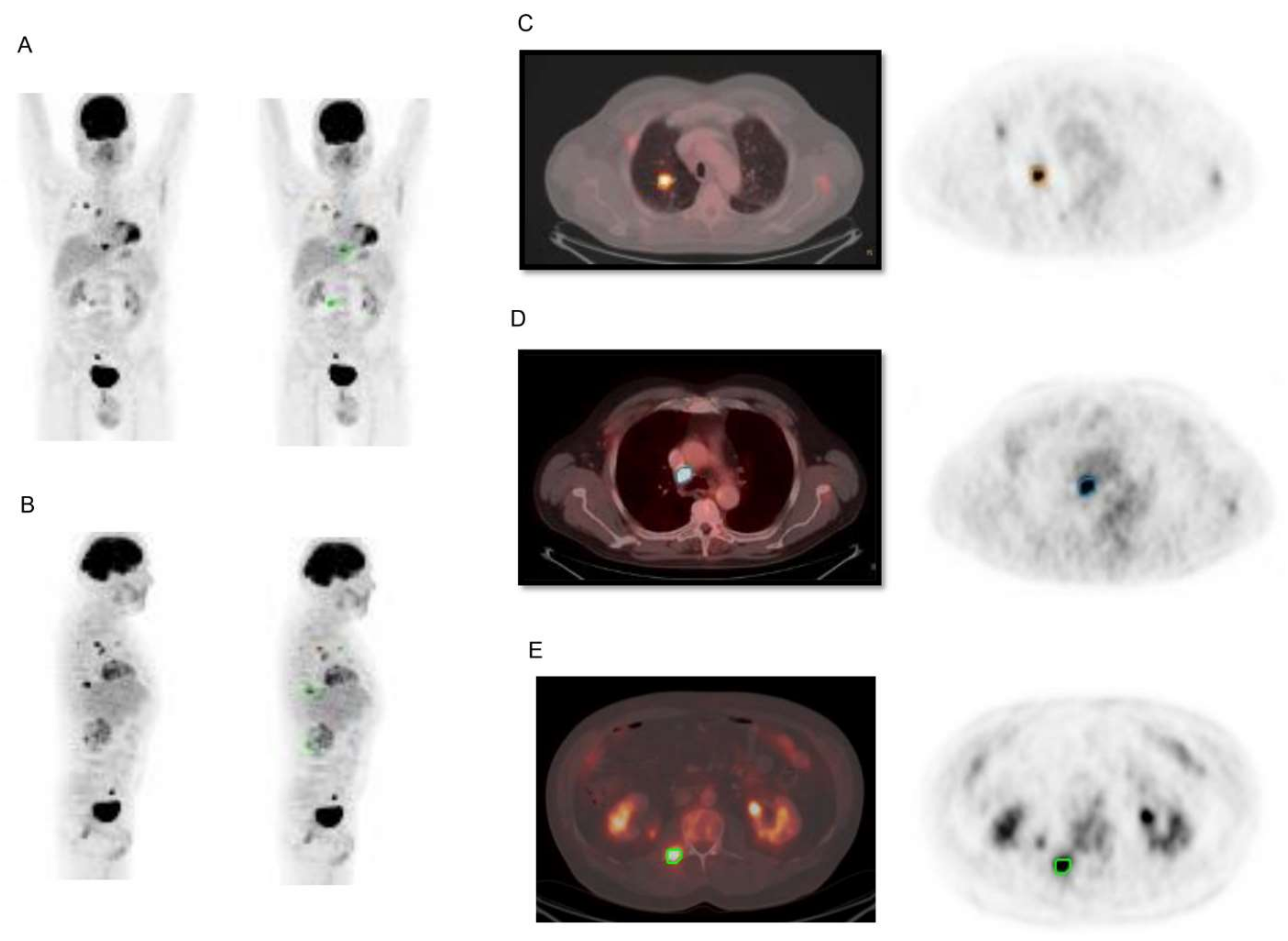 Diagnostics 11 00210 g001
