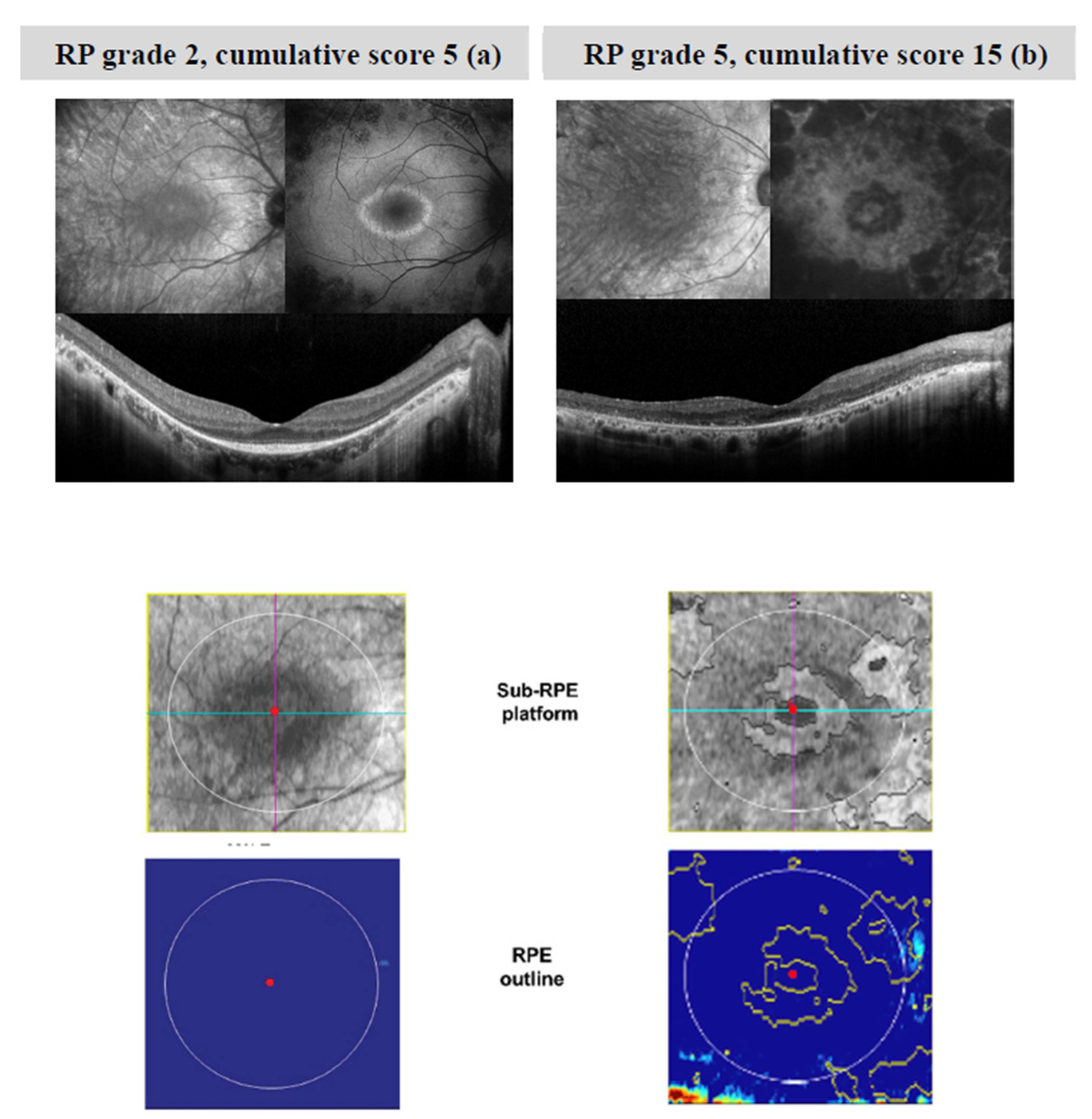 Diagnostics 11 00213 g001